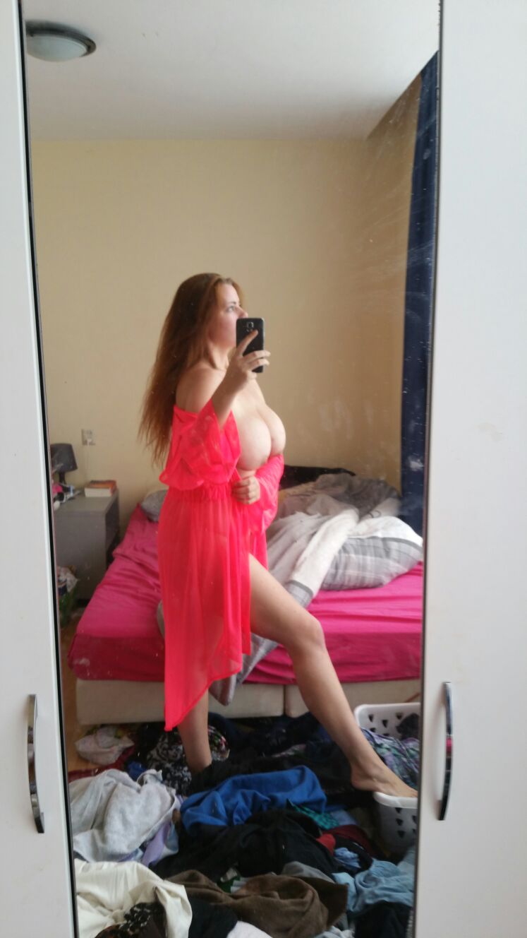 Expose Diaries Part 1. Busty Dutch Redheaded Whore