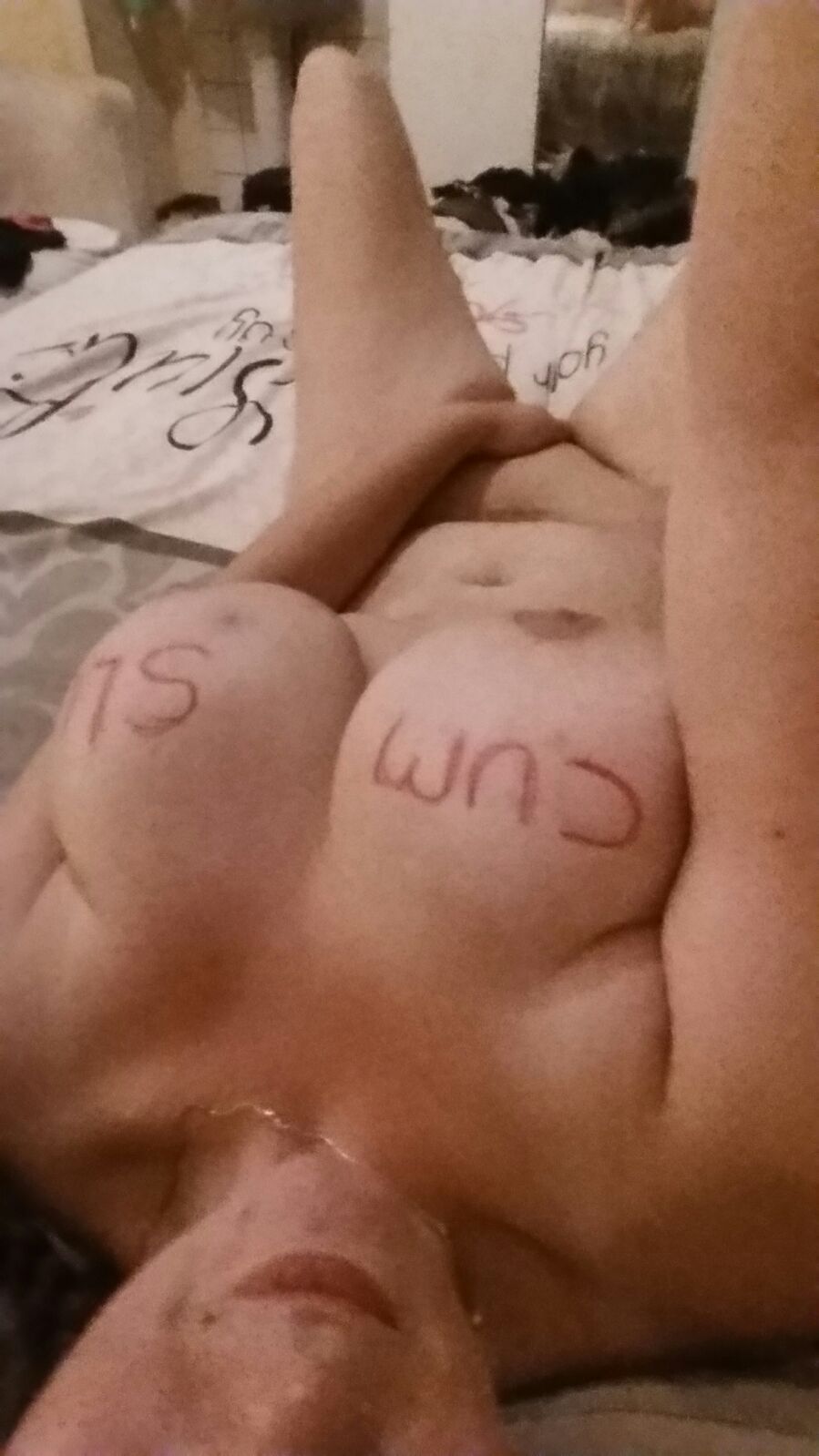 Expose Diaries Part 1. Busty Dutch Redheaded Whore