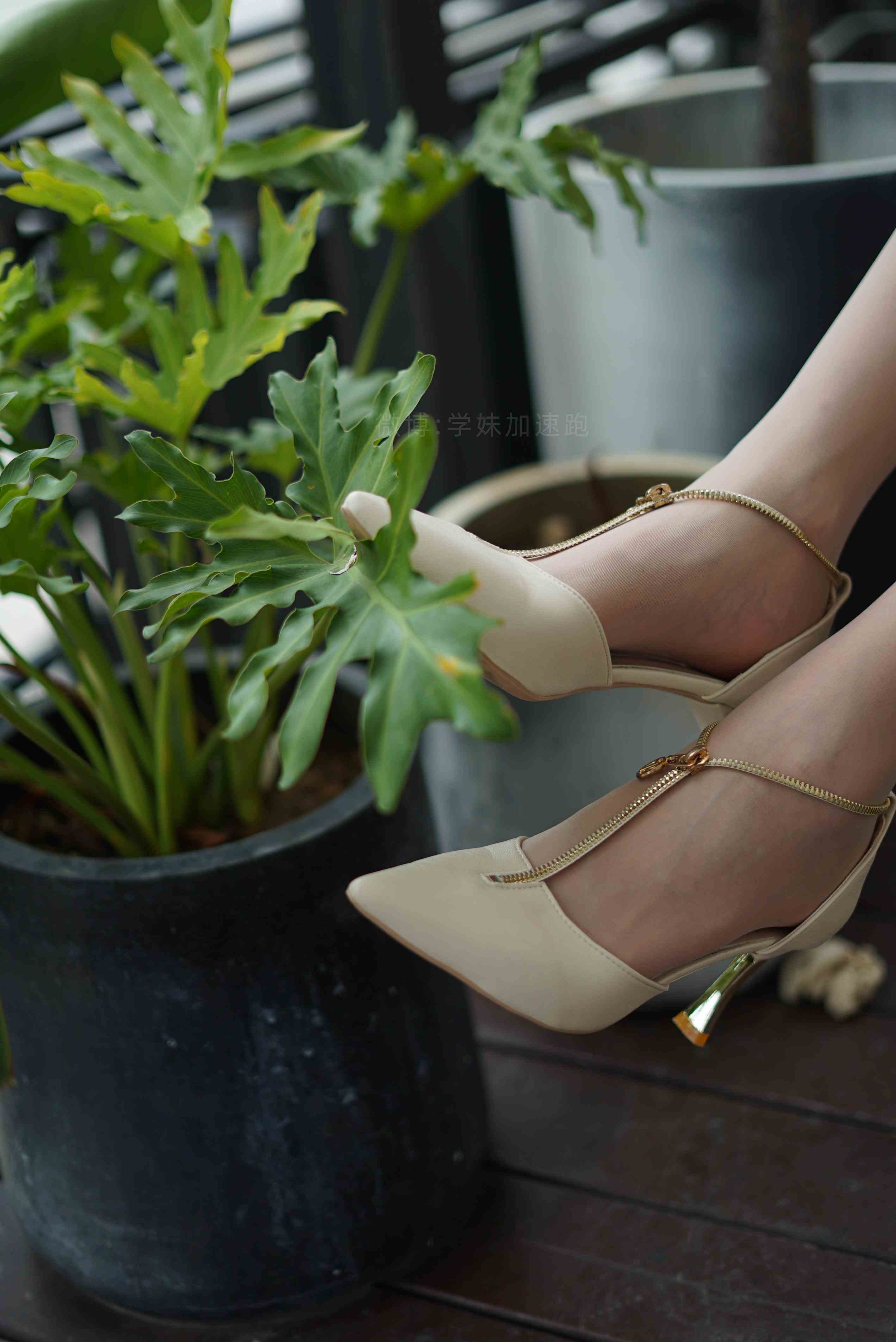 China Beauty Legs and feet 1486