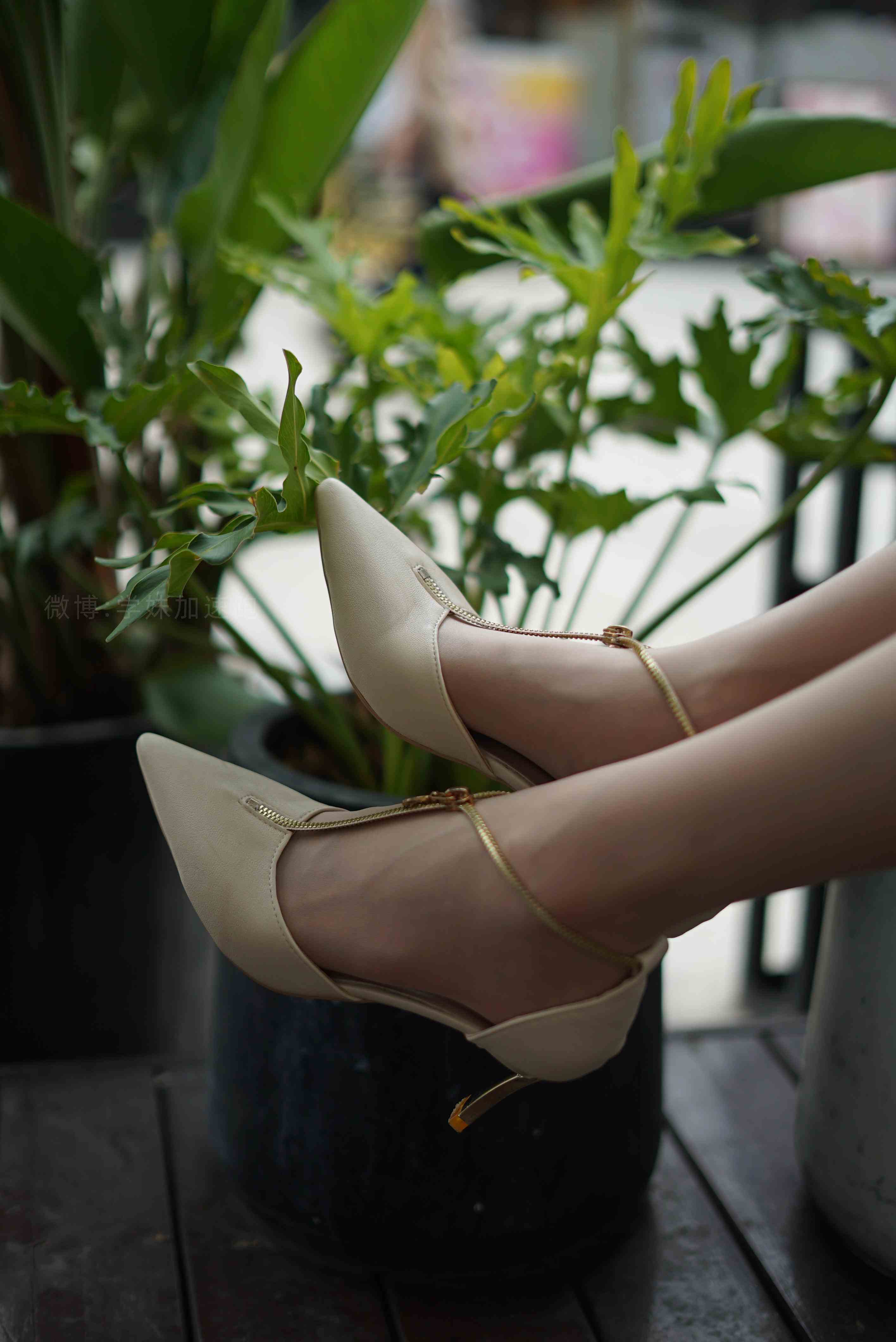 China Beauty Legs and feet 1486