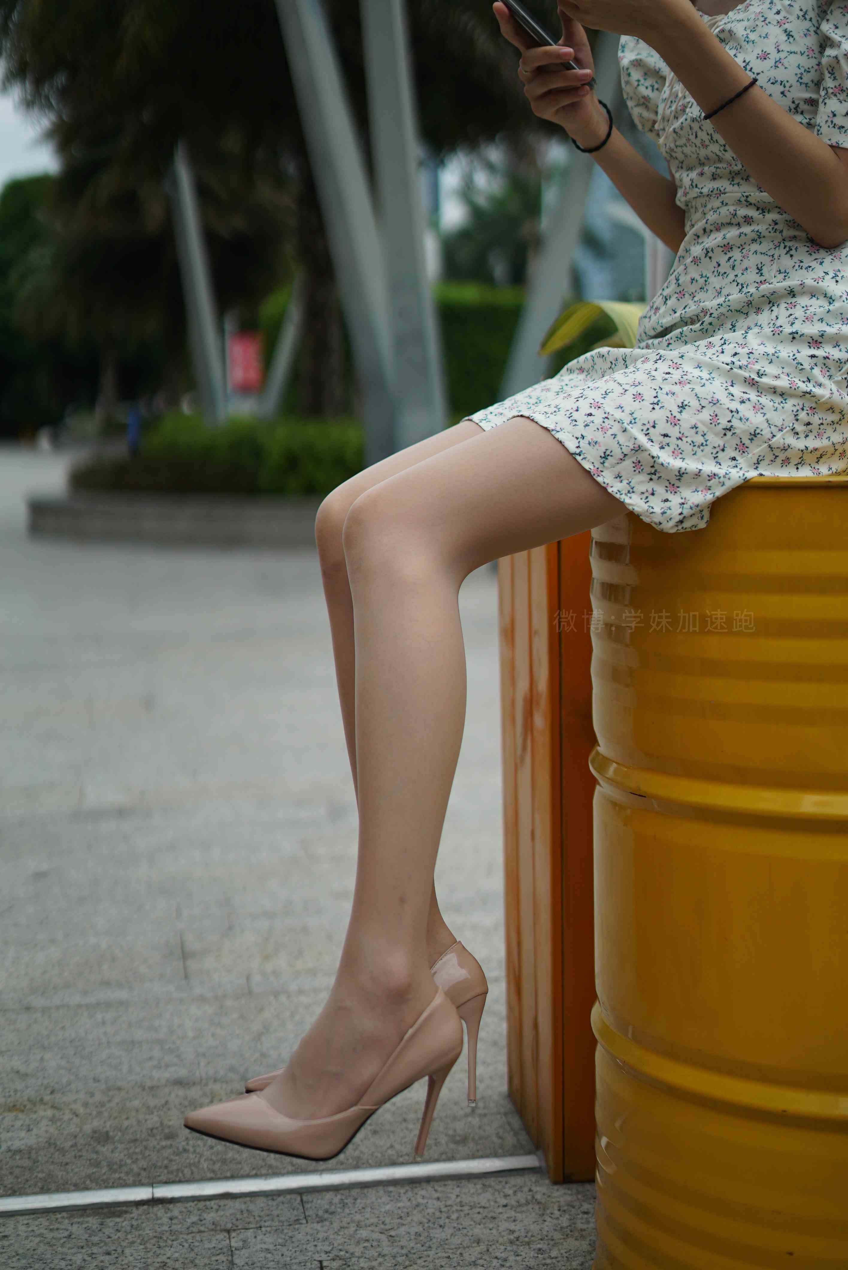 China Beauty Legs and feet 1492