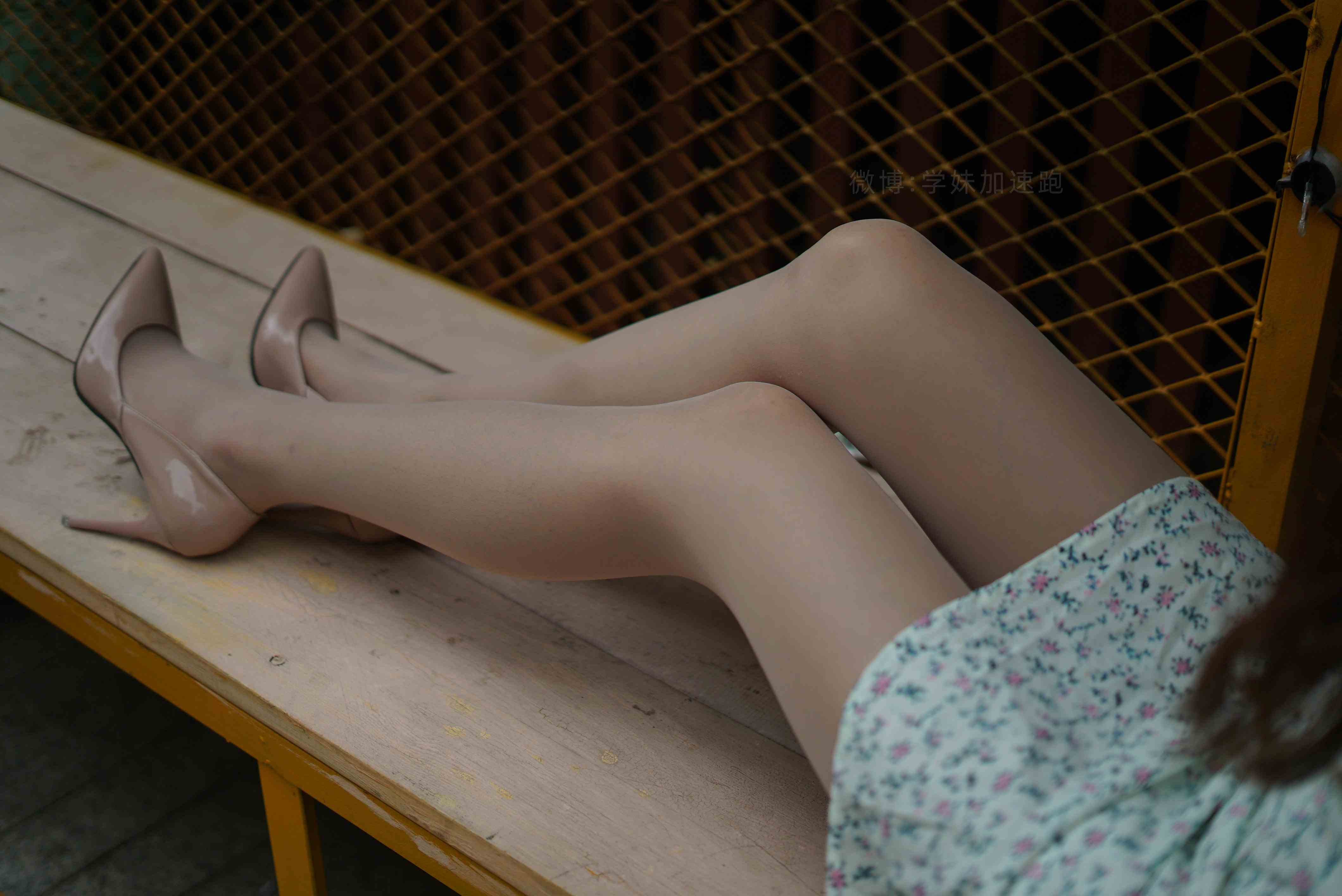 China Beauty Legs and feet 1492