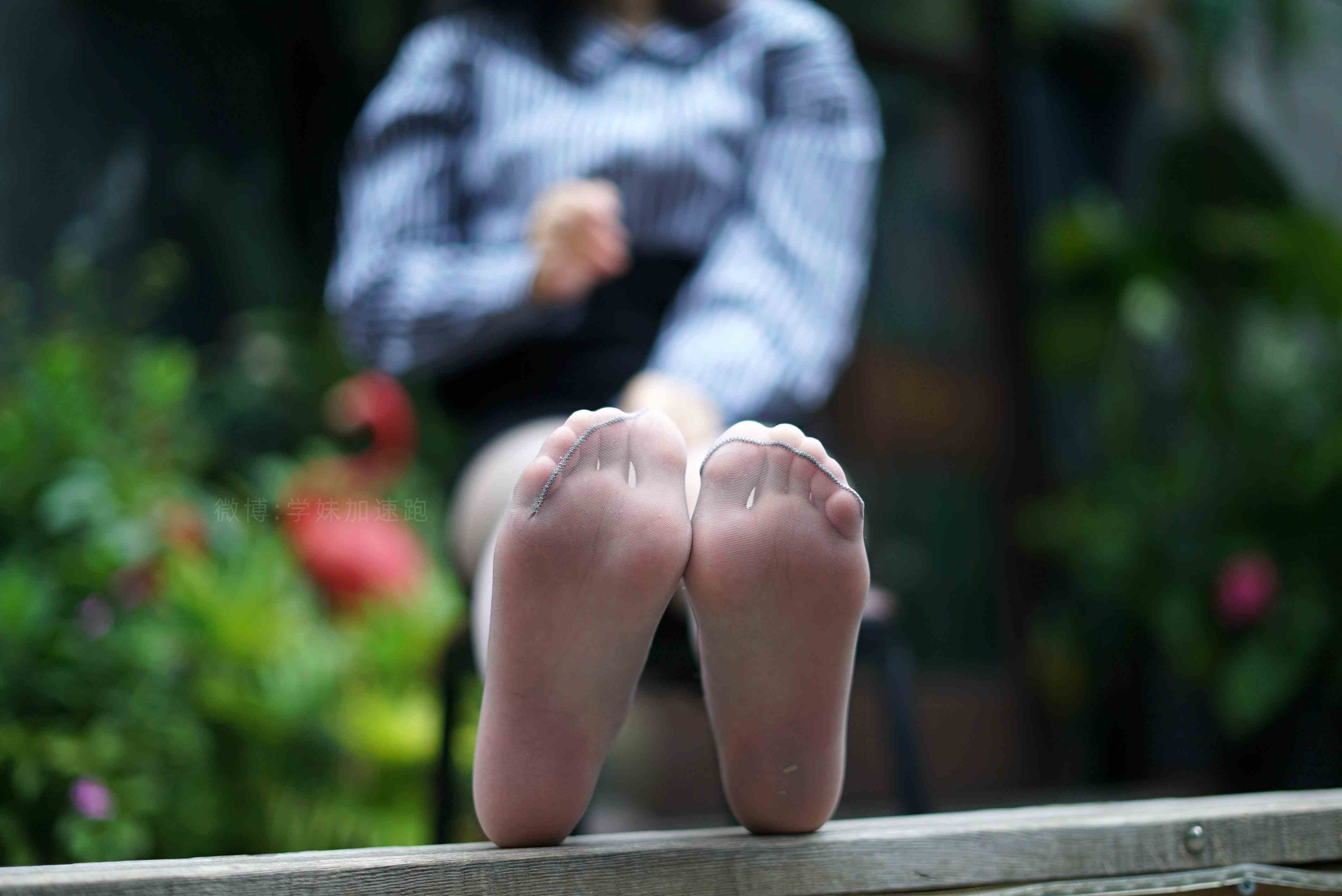 China Beauty Legs and feet 1524