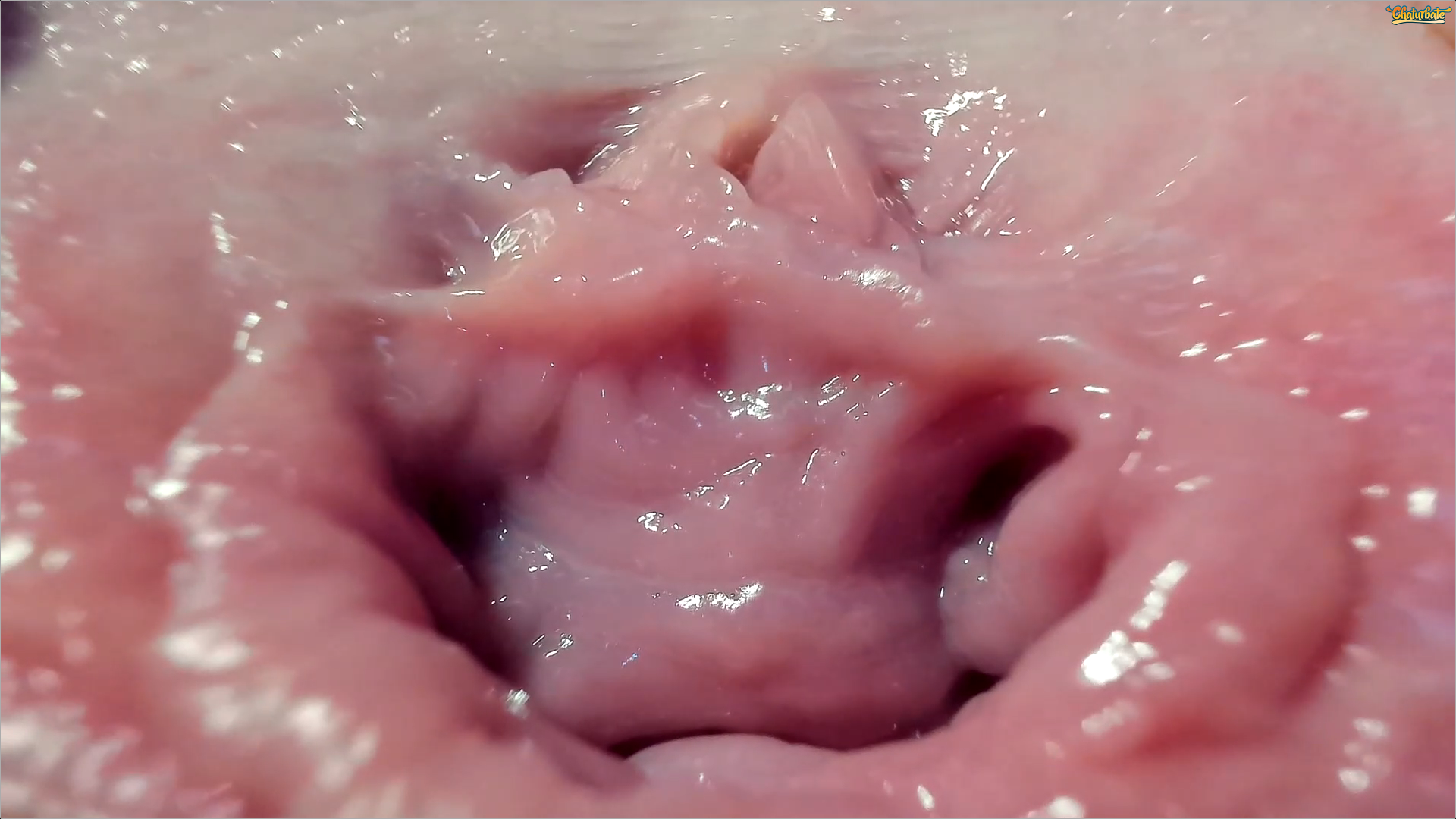 The most beautiful vaginas