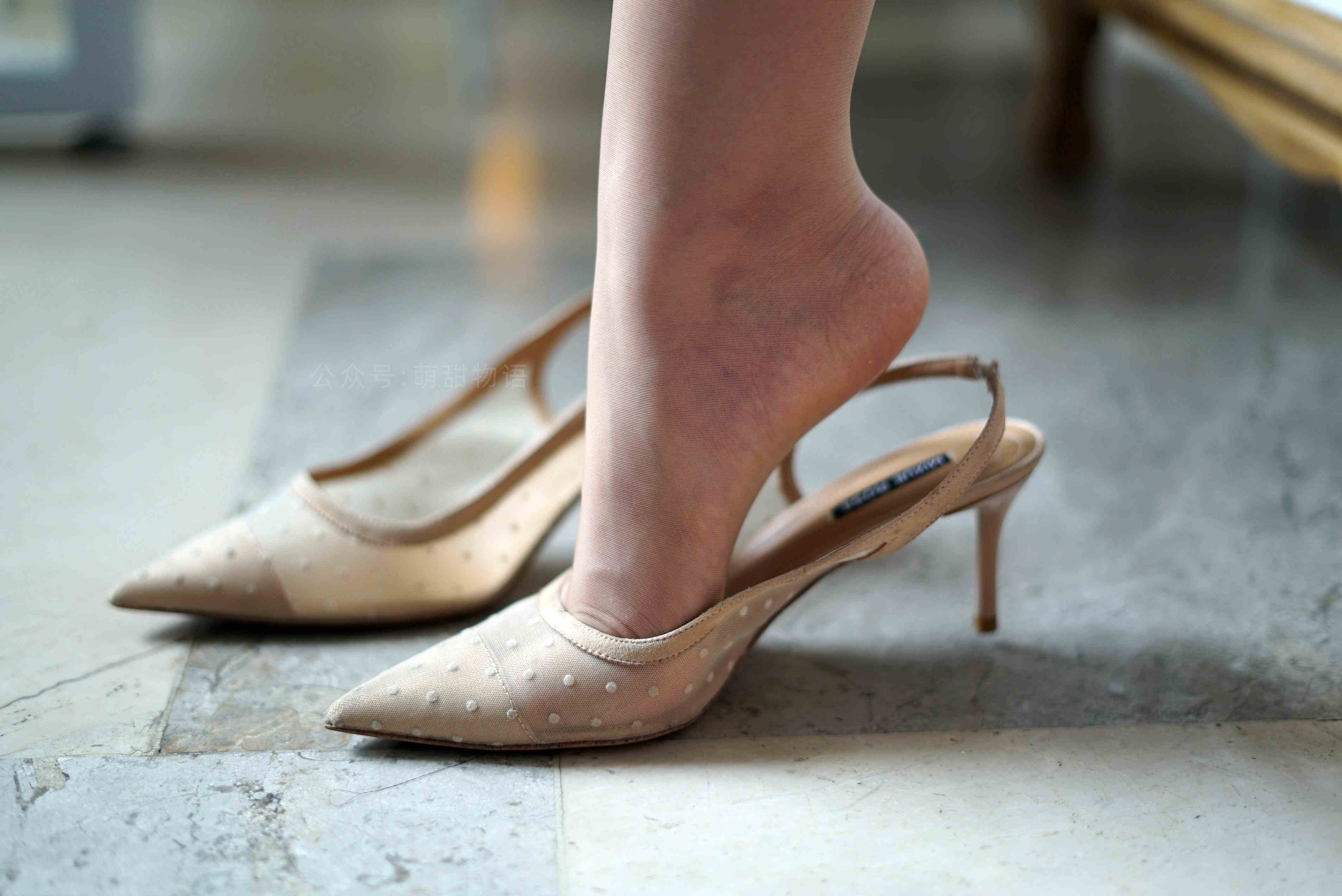 China Beauty Legs and feet 1538