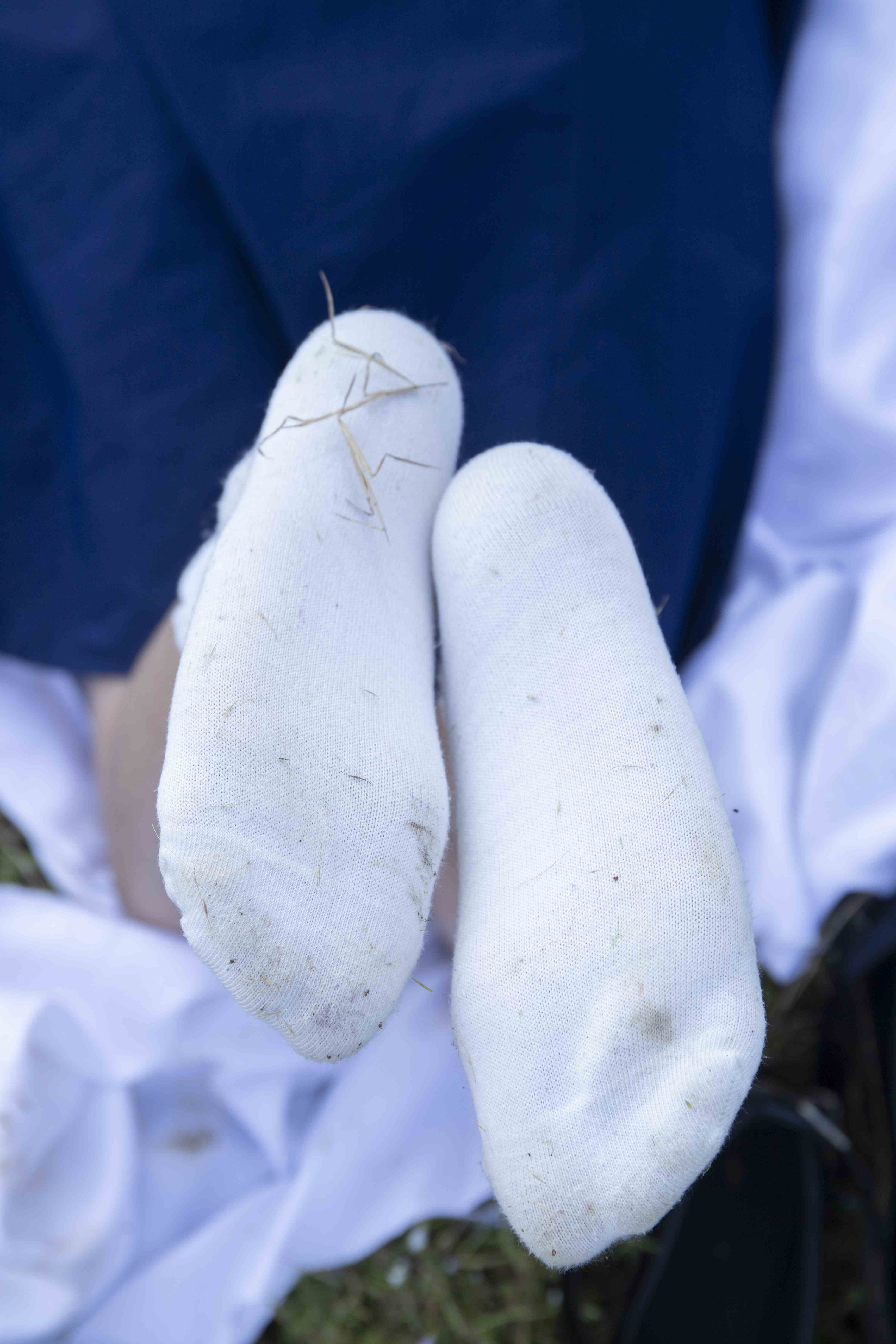 China Beauty Legs and feet 1564