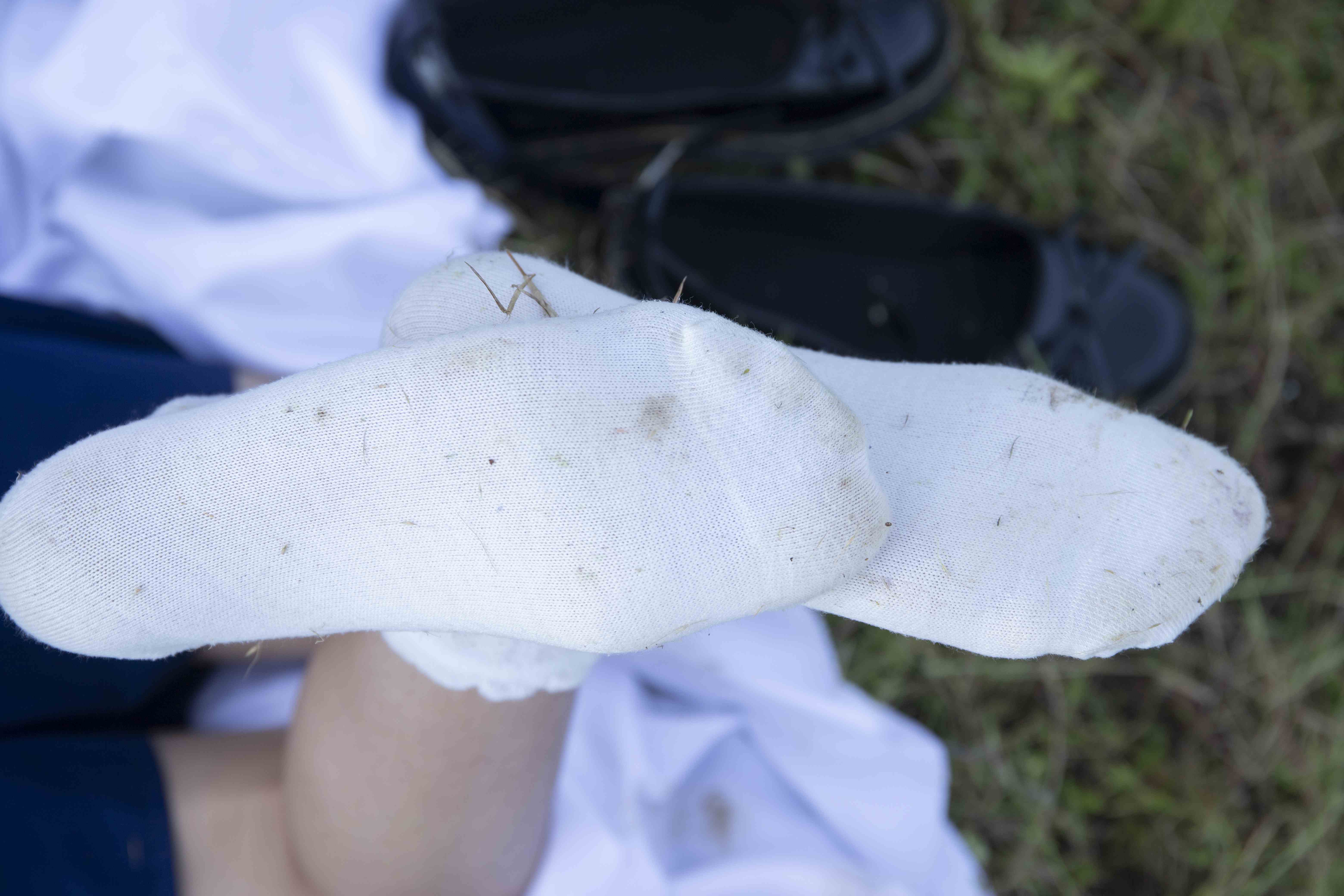 China Beauty Legs and feet 1564