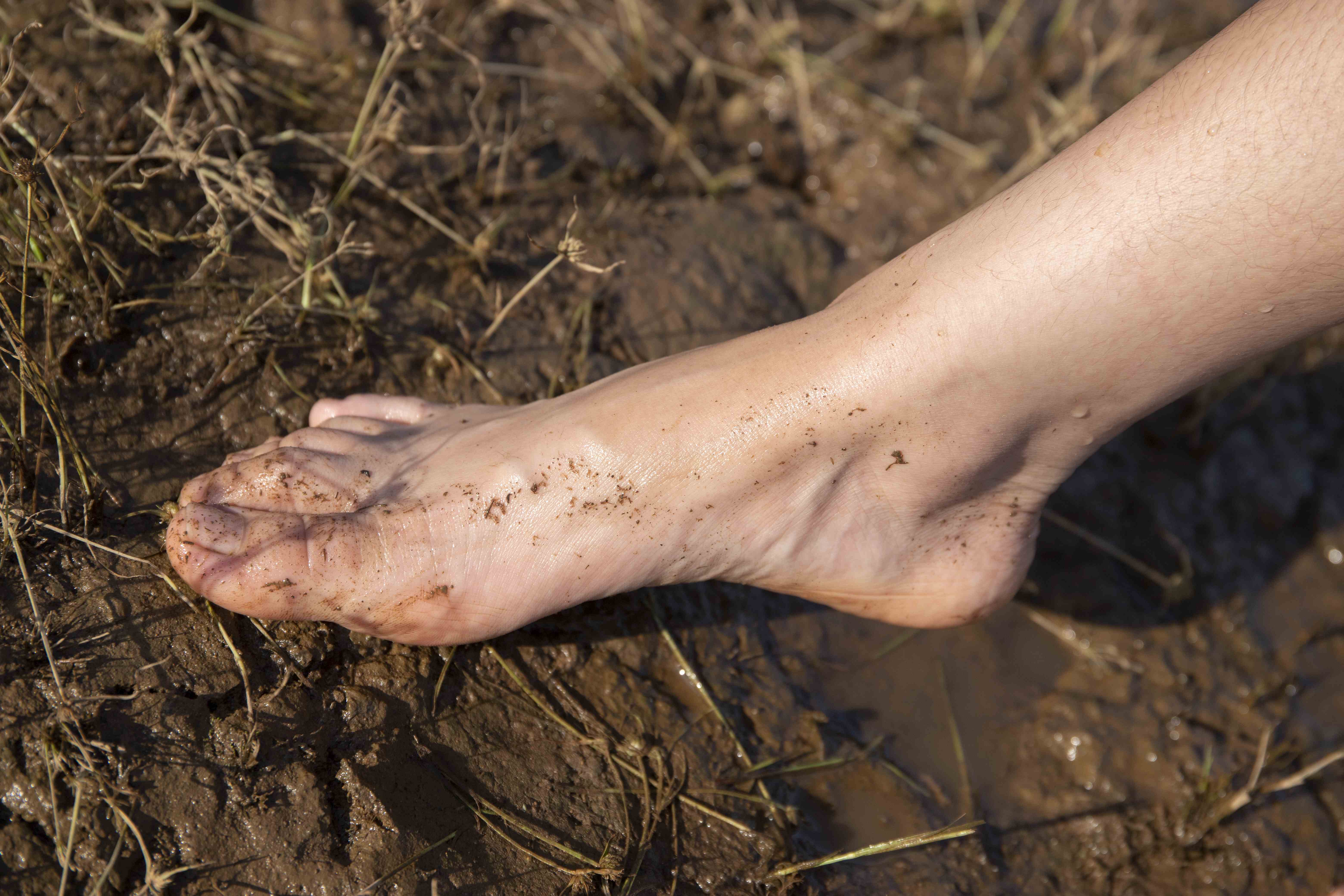 China Beauty Legs and feet 1564