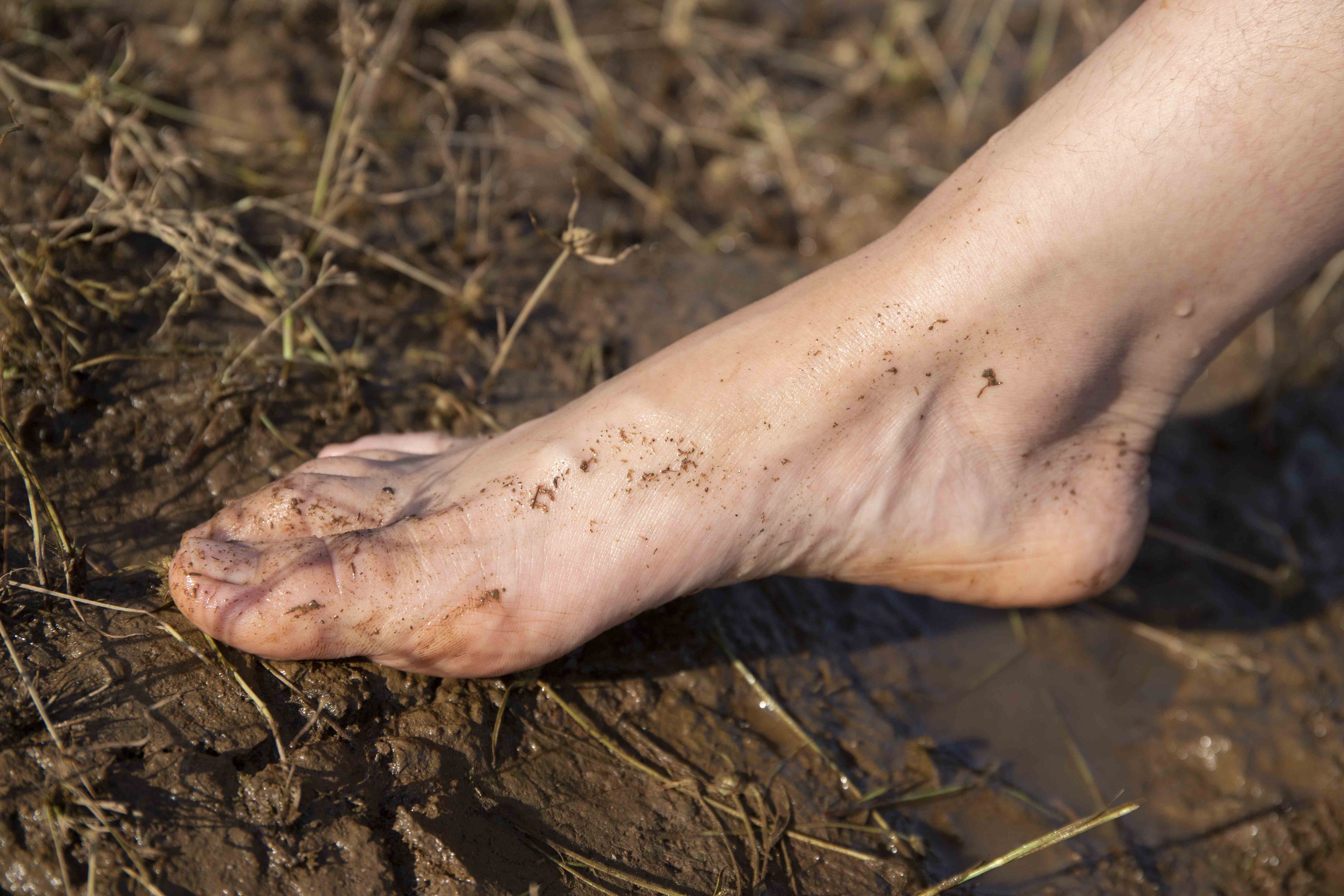 China Beauty Legs and feet 1564