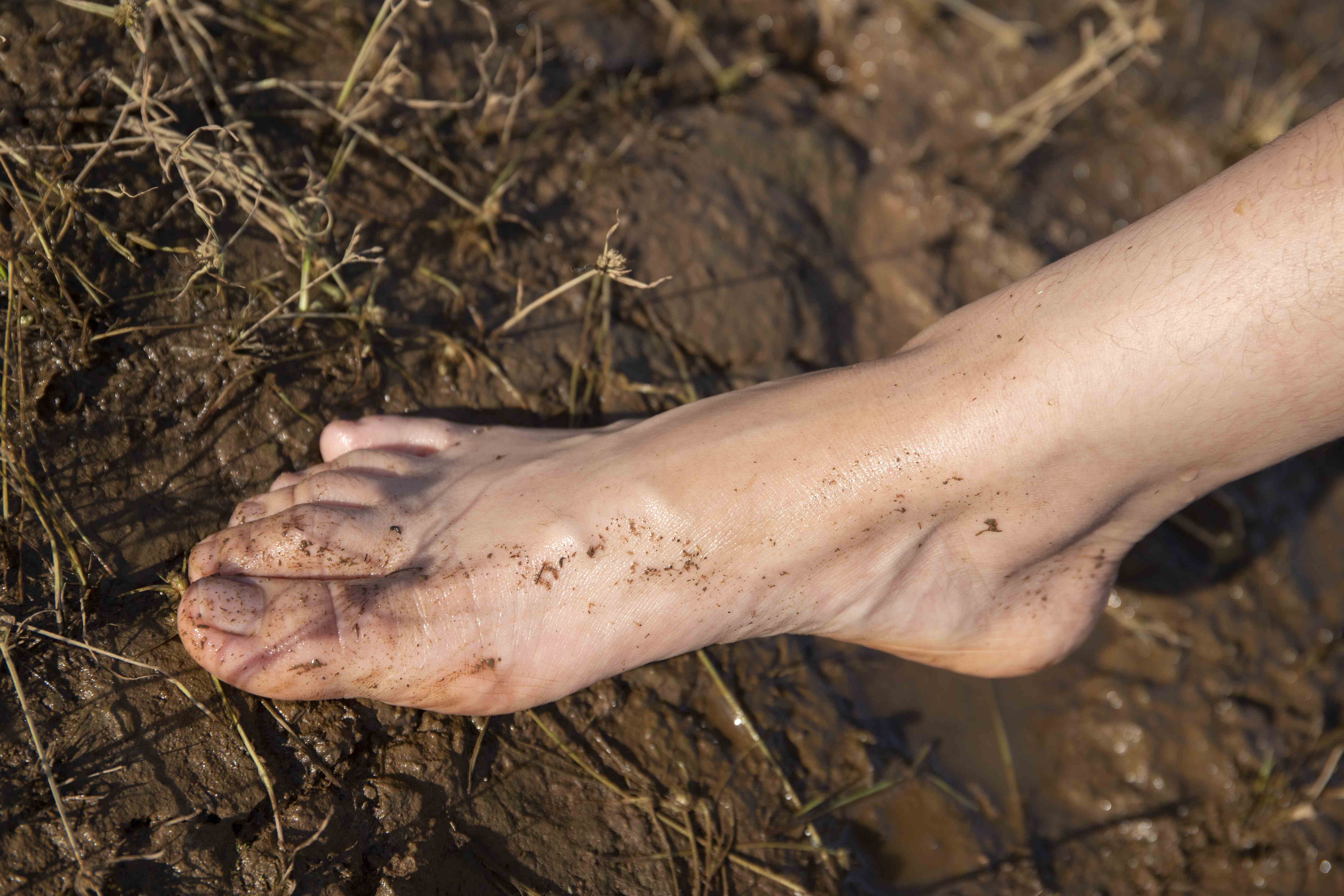 China Beauty Legs and feet 1564