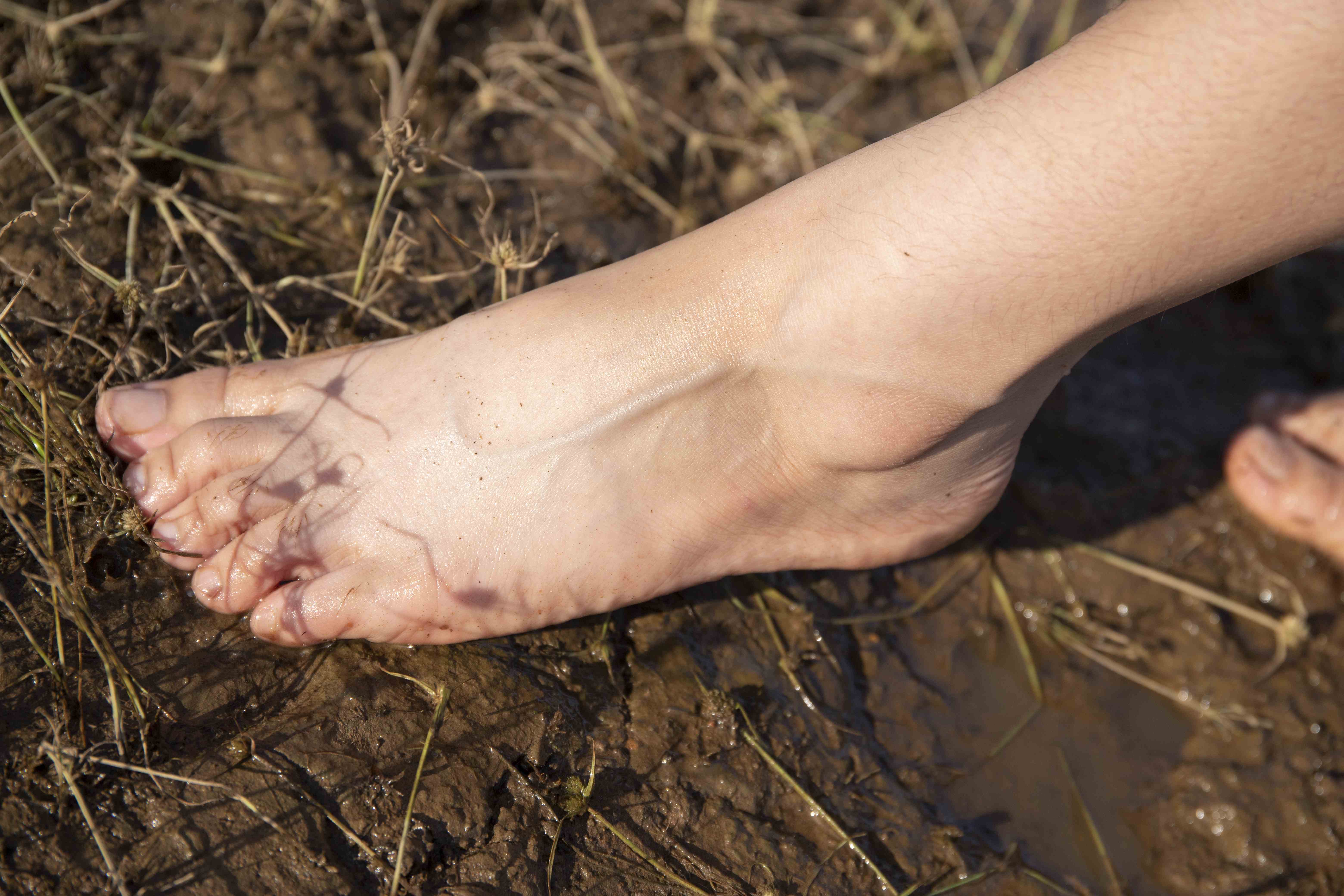 China Beauty Legs and feet 1564