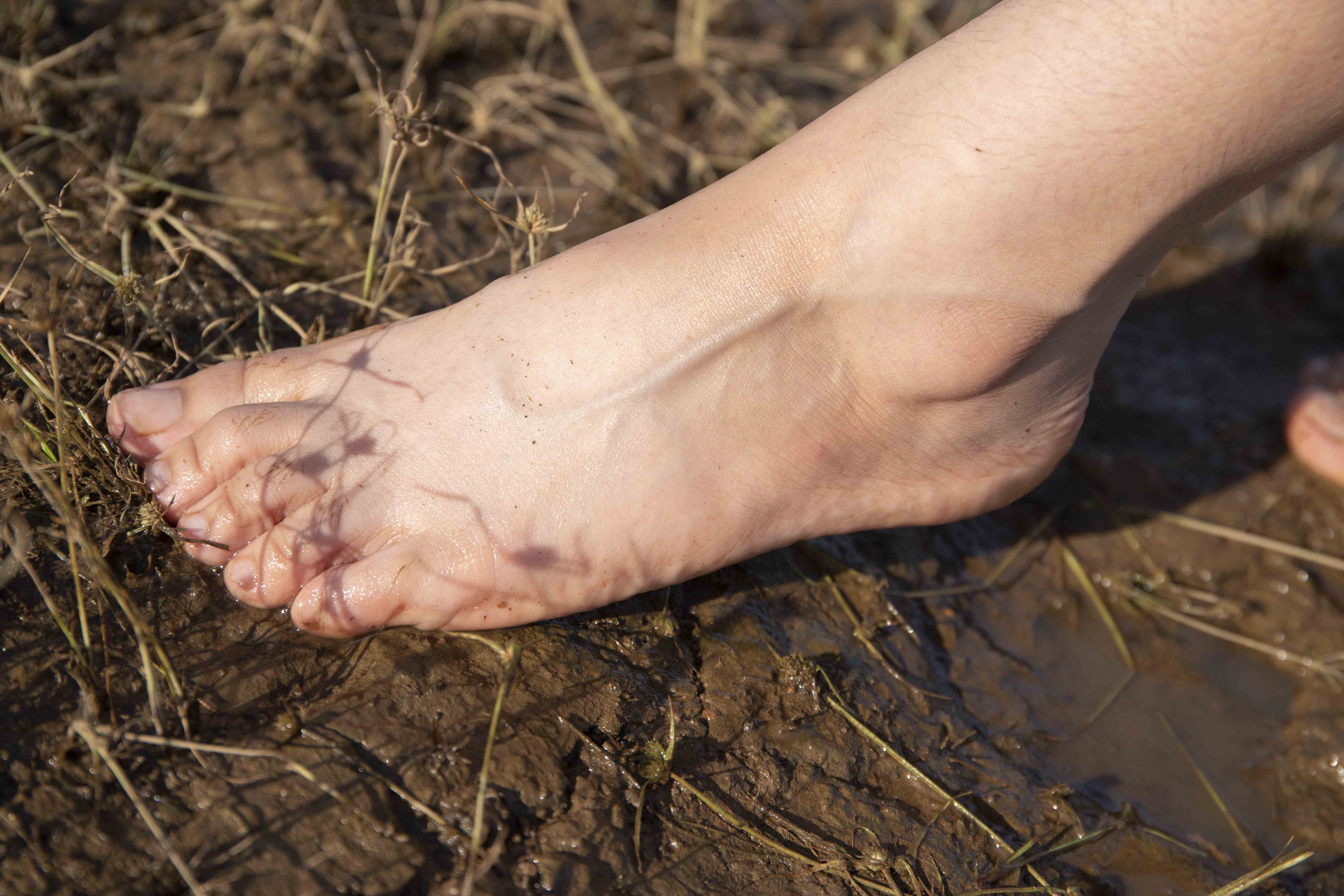 China Beauty Legs and feet 1564
