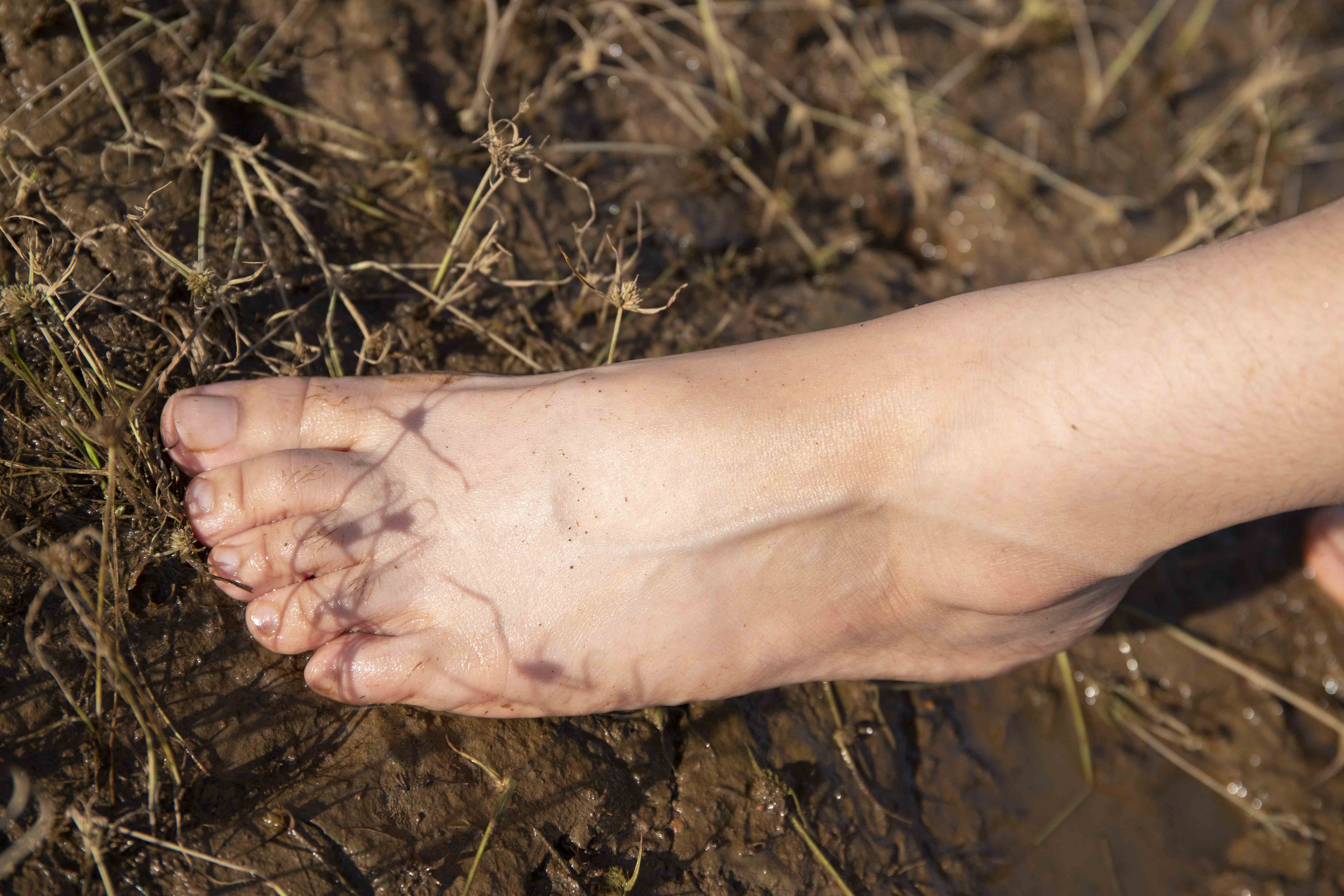 China Beauty Legs and feet 1564