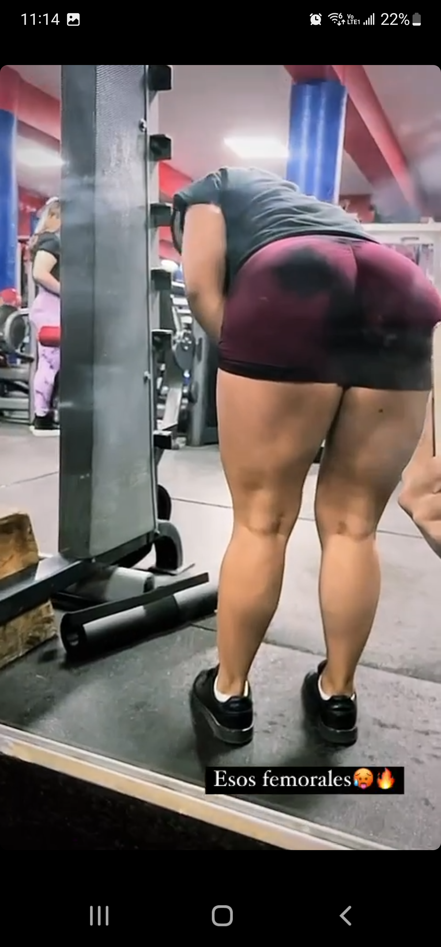 Zulema OnlyFans +52 1 664 577 4433