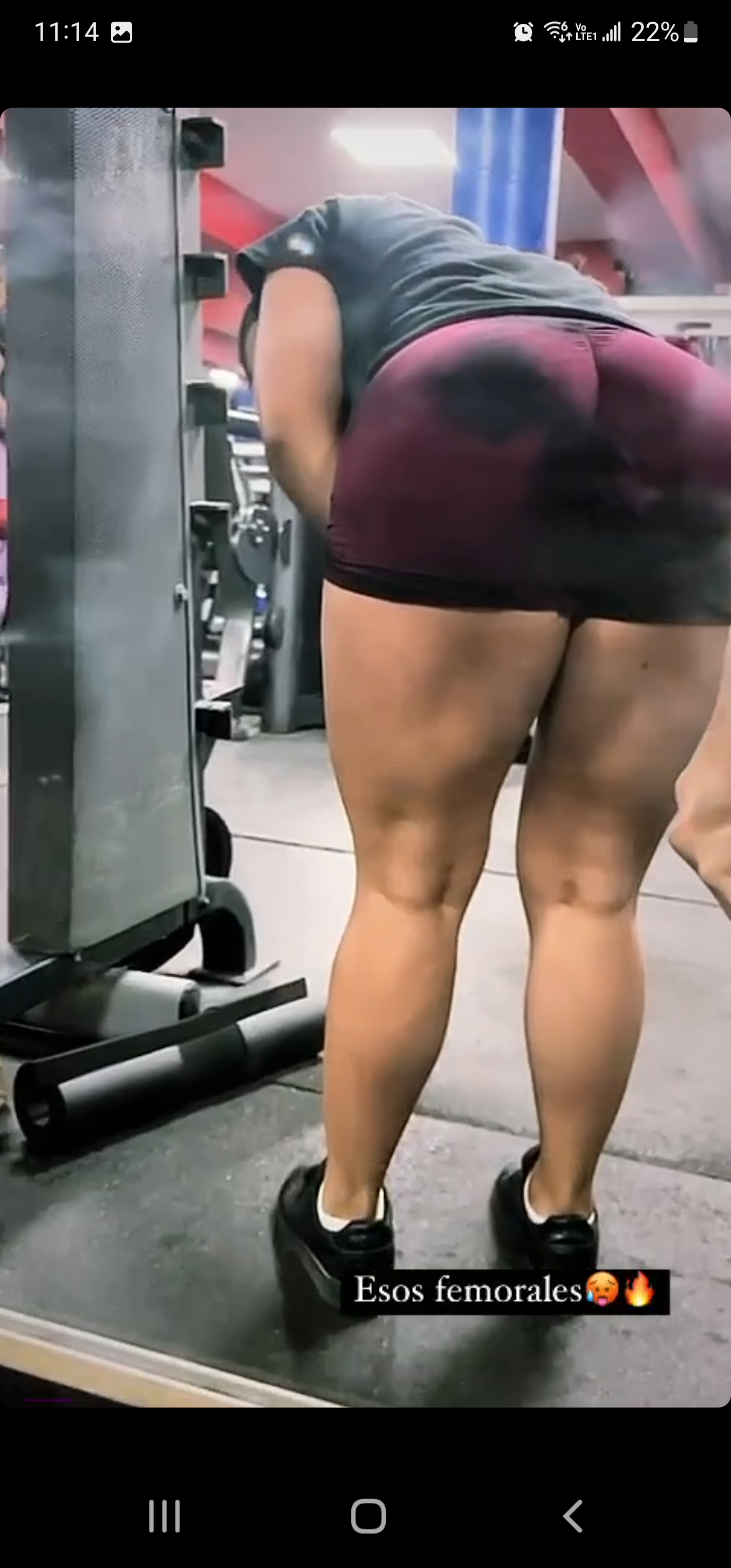 Zulema OnlyFans +52 1 664 577 4433