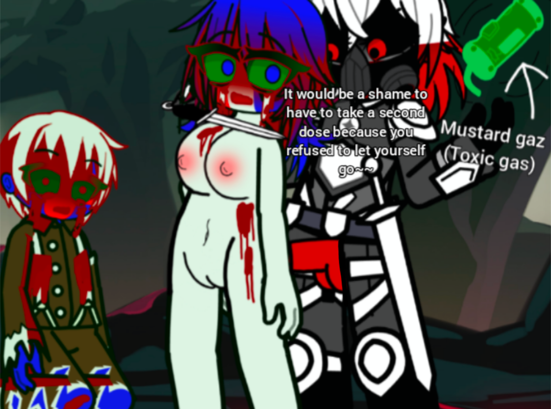 The France's adventure