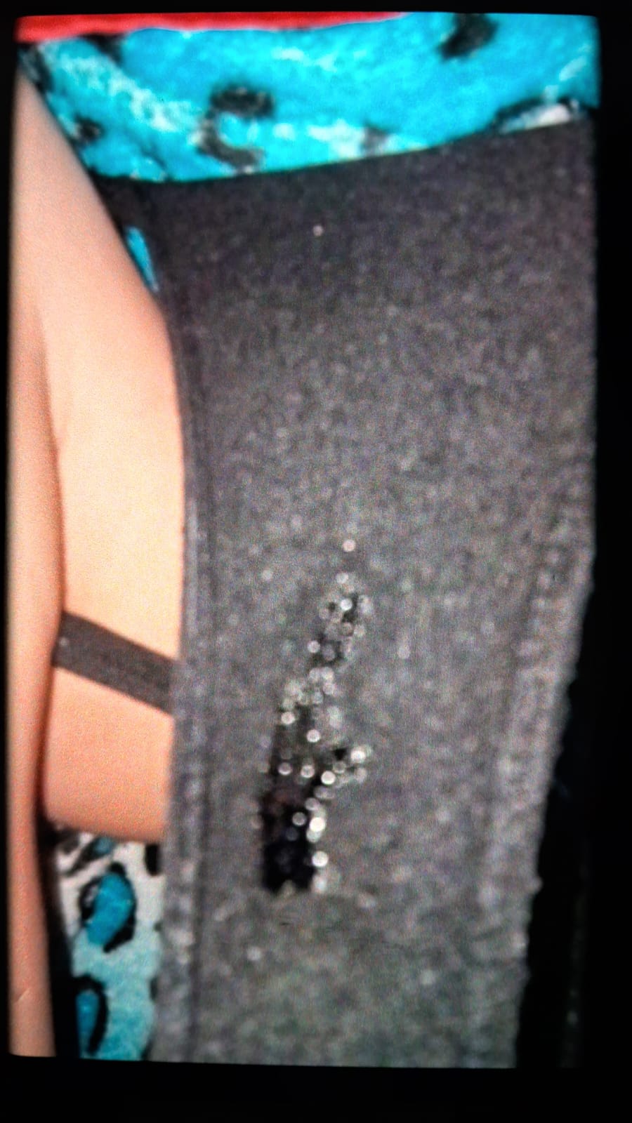 Susanita Ortiz nalgona y cachonda