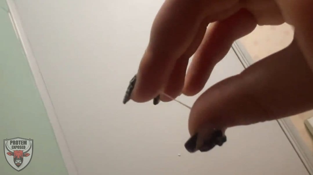 Waijan Gan Hong kong slut