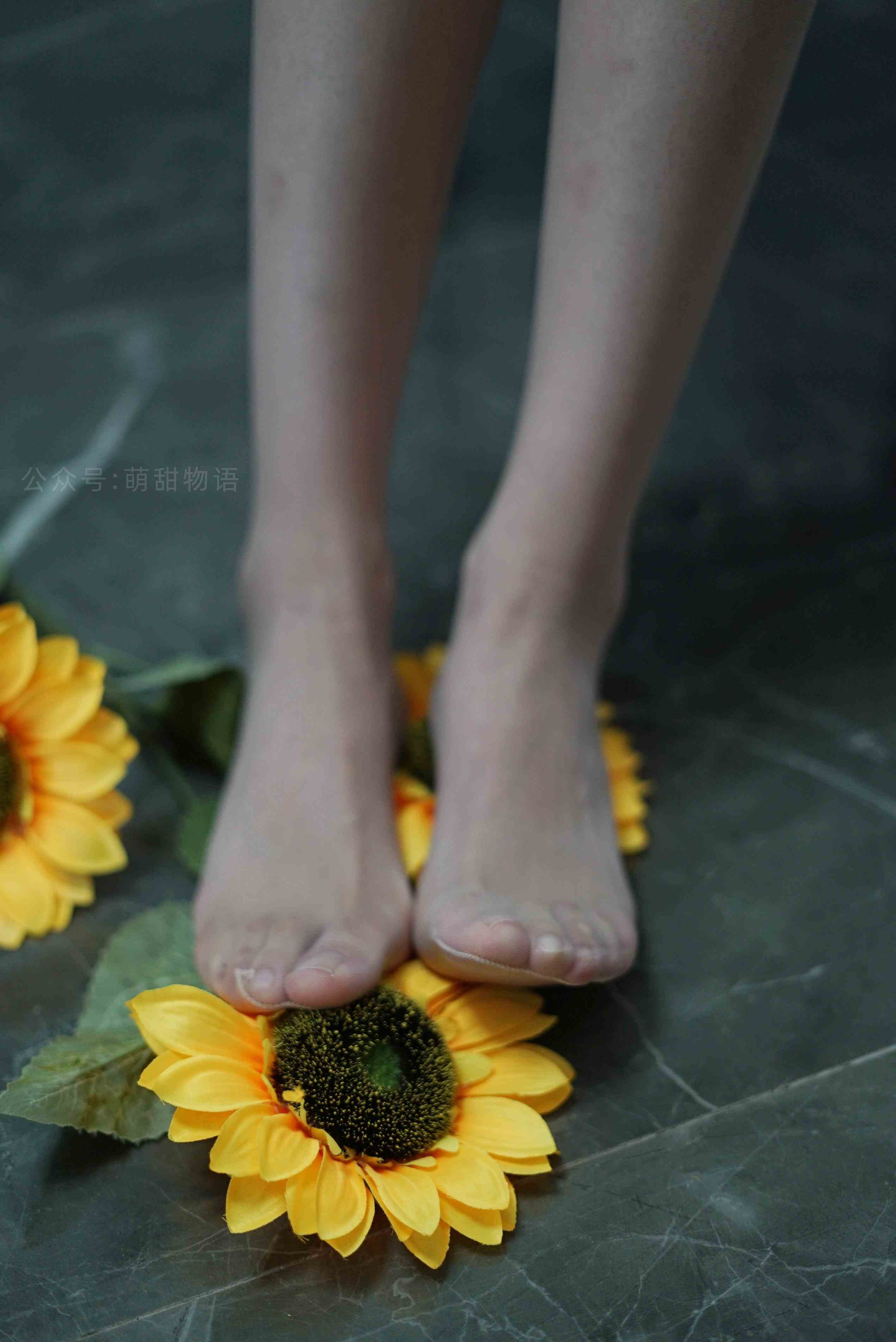 China Beauty Legs and feet 1632