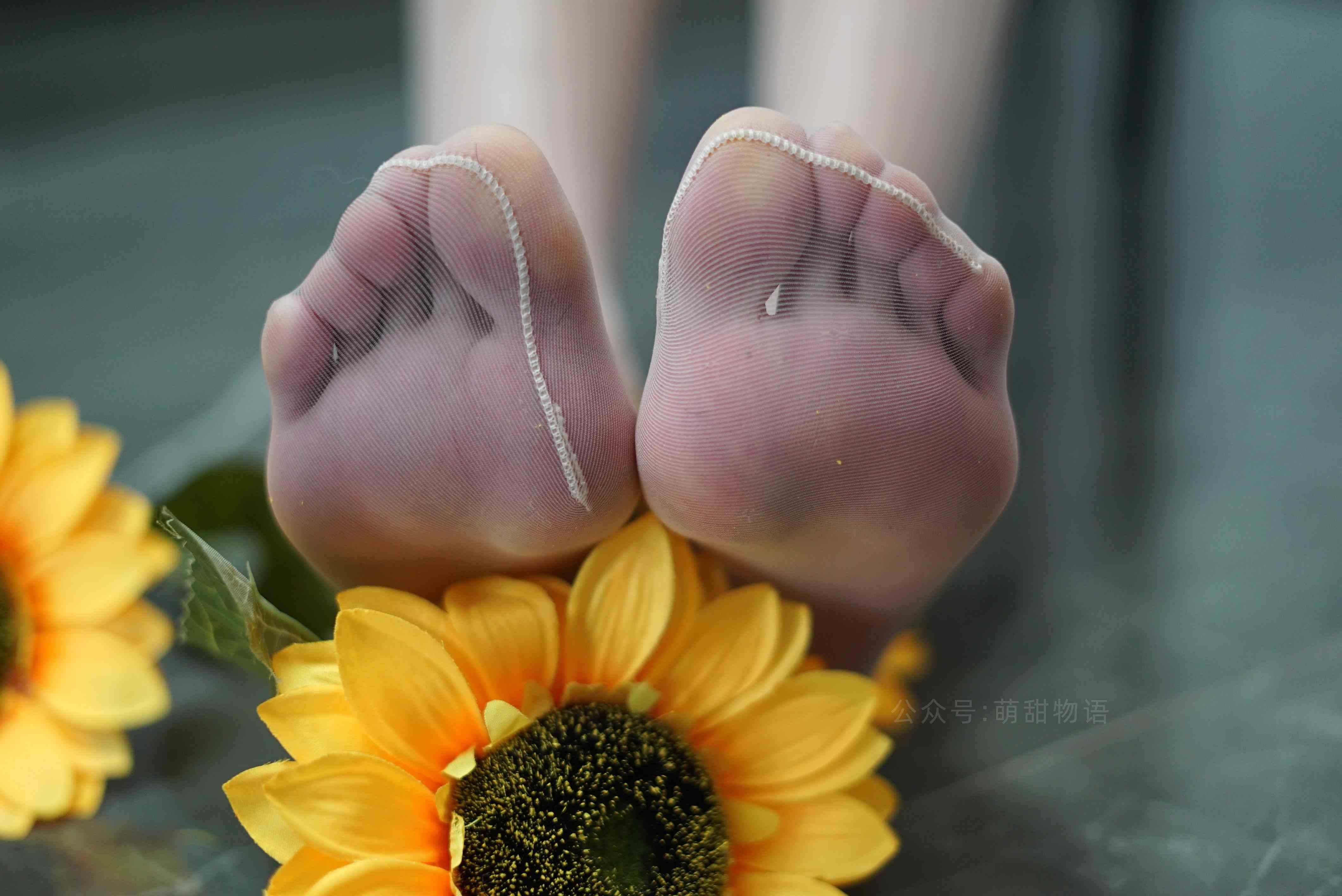 China Beauty Legs and feet 1632