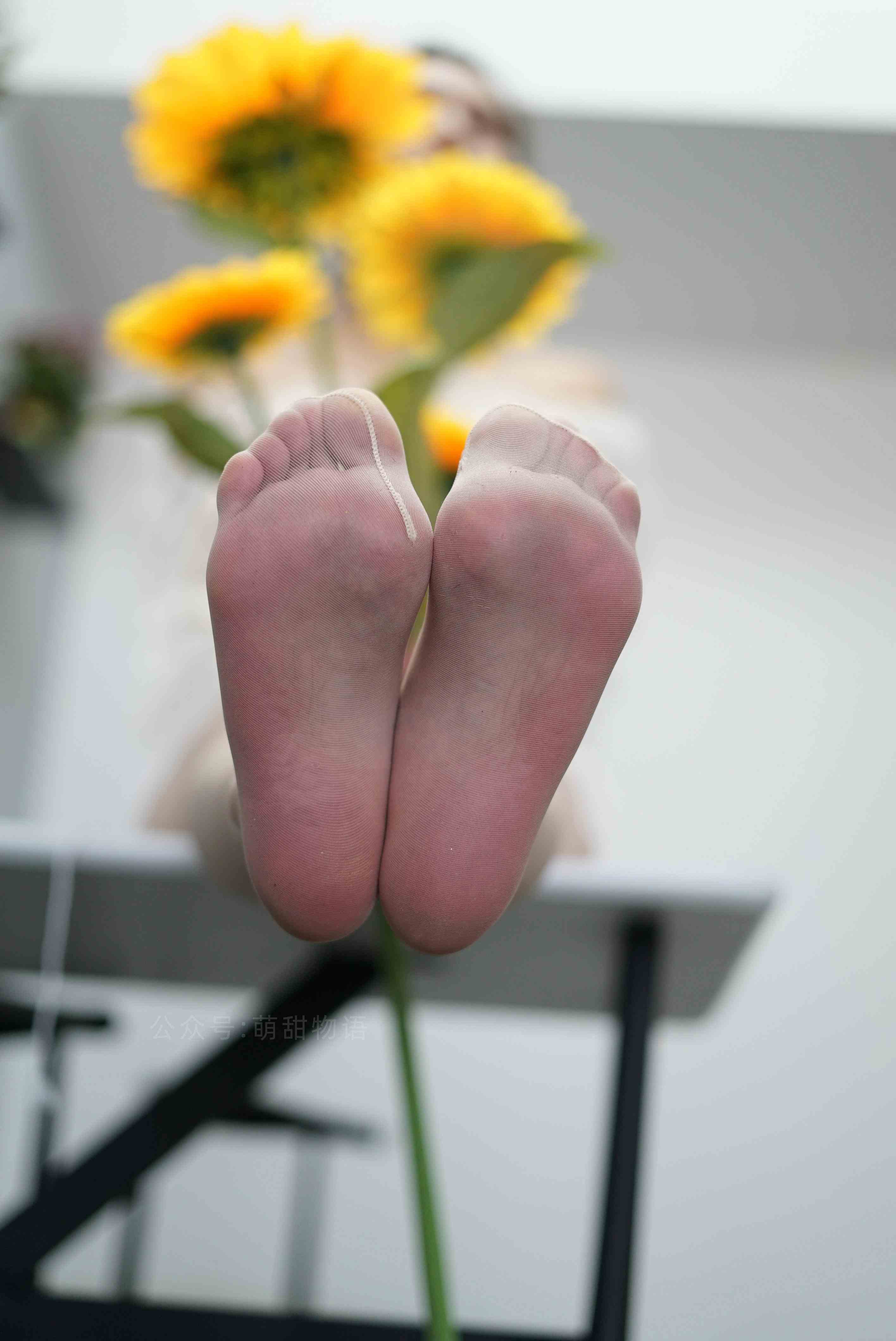 China Beauty Legs and feet 1632