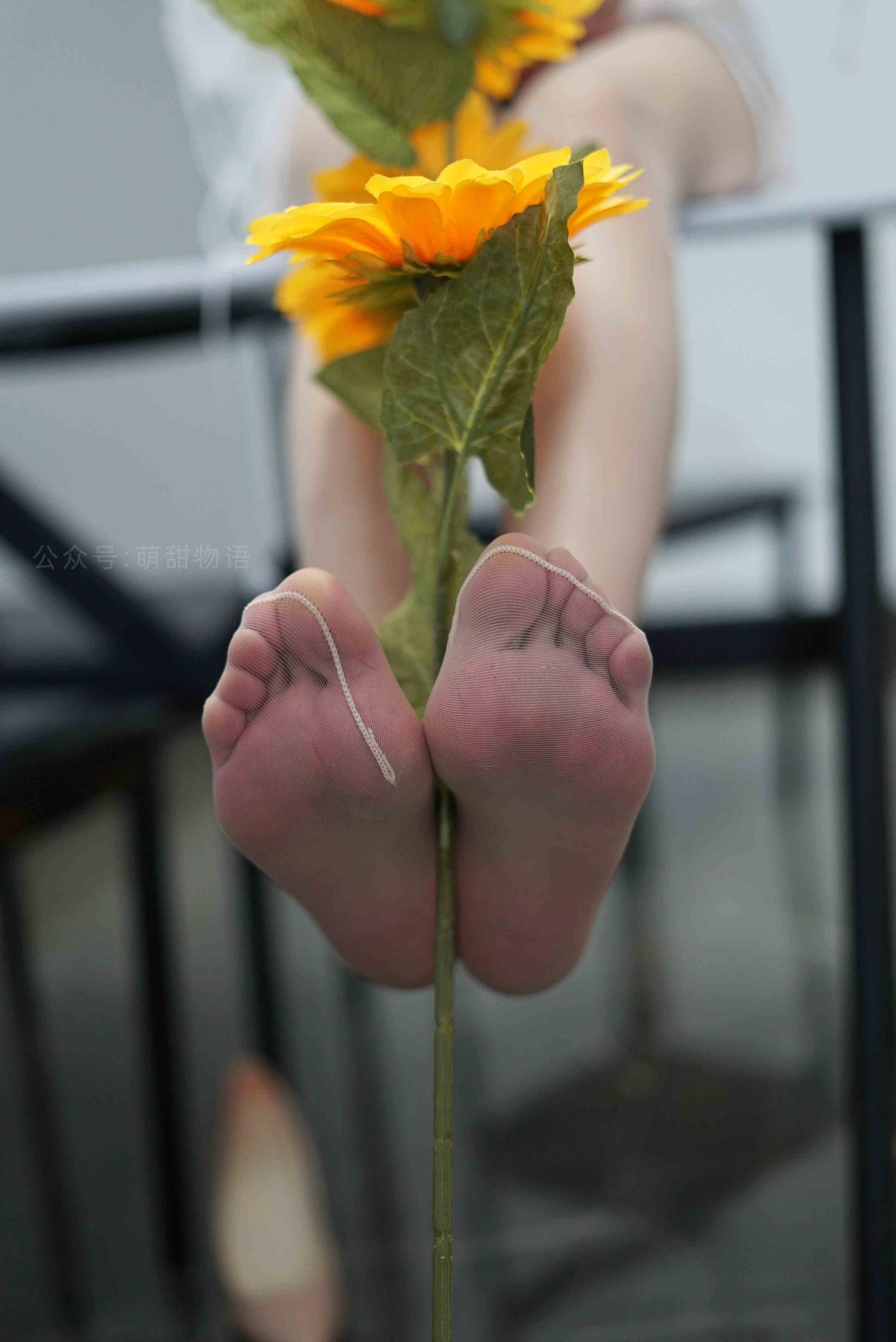 China Beauty Legs and feet 1632