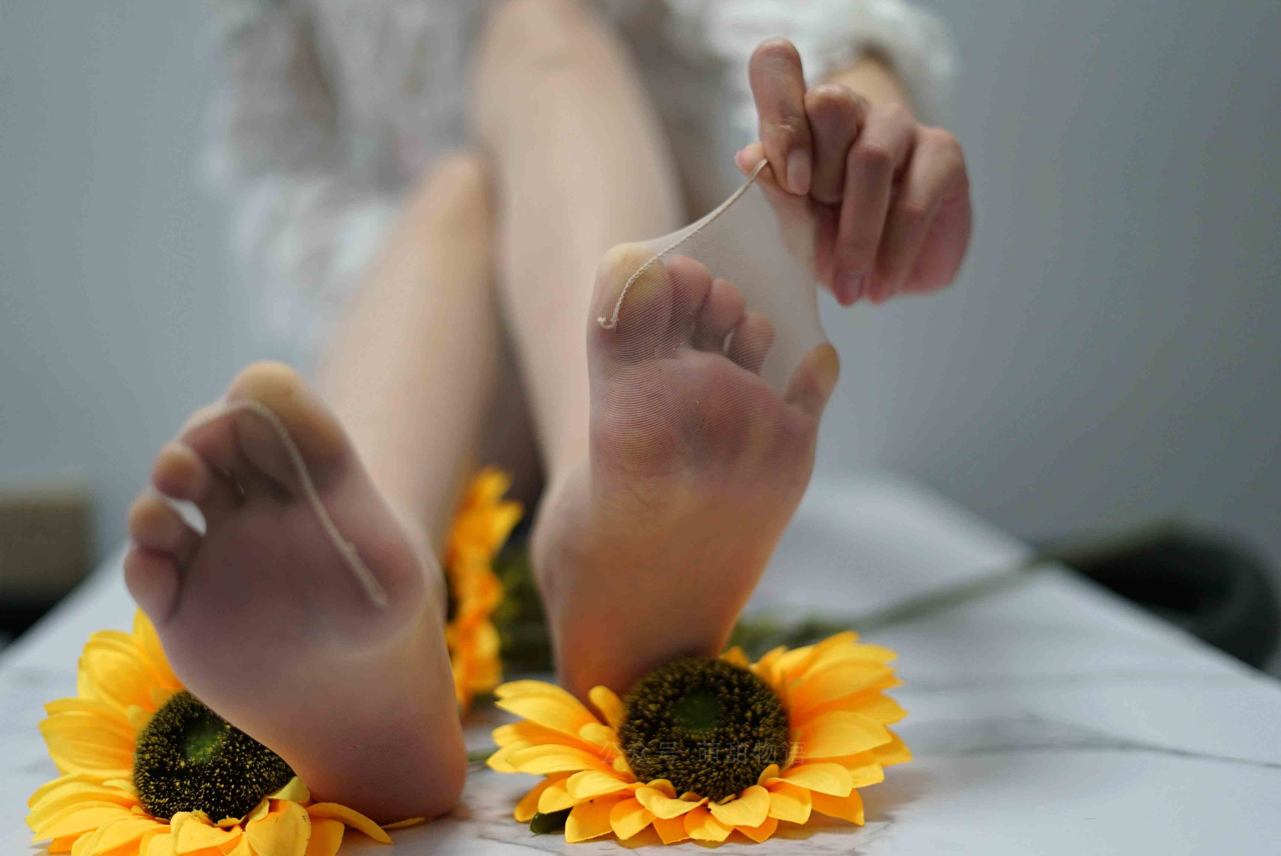 China Beauty Legs and feet 1632