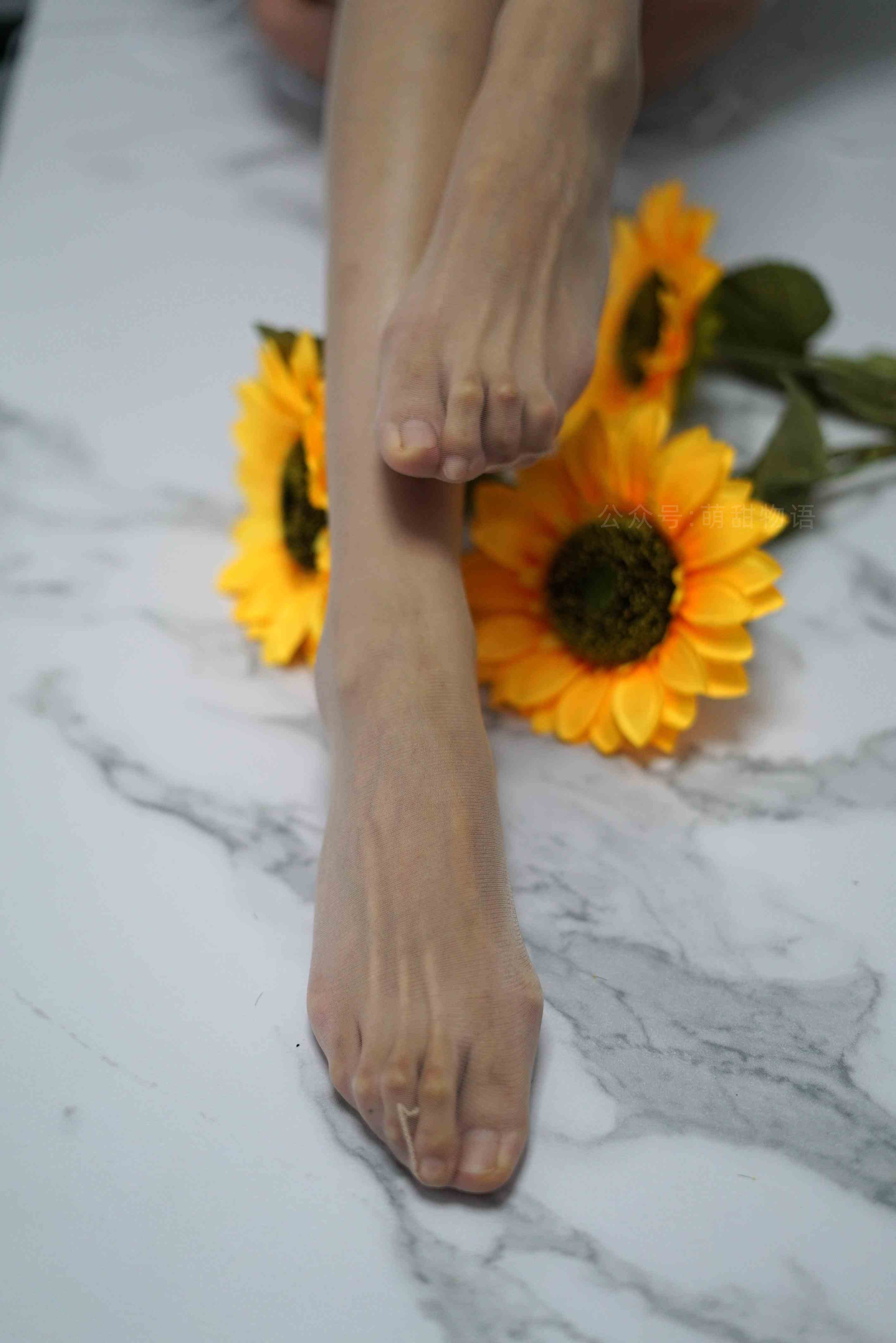 China Beauty Legs and feet 1632