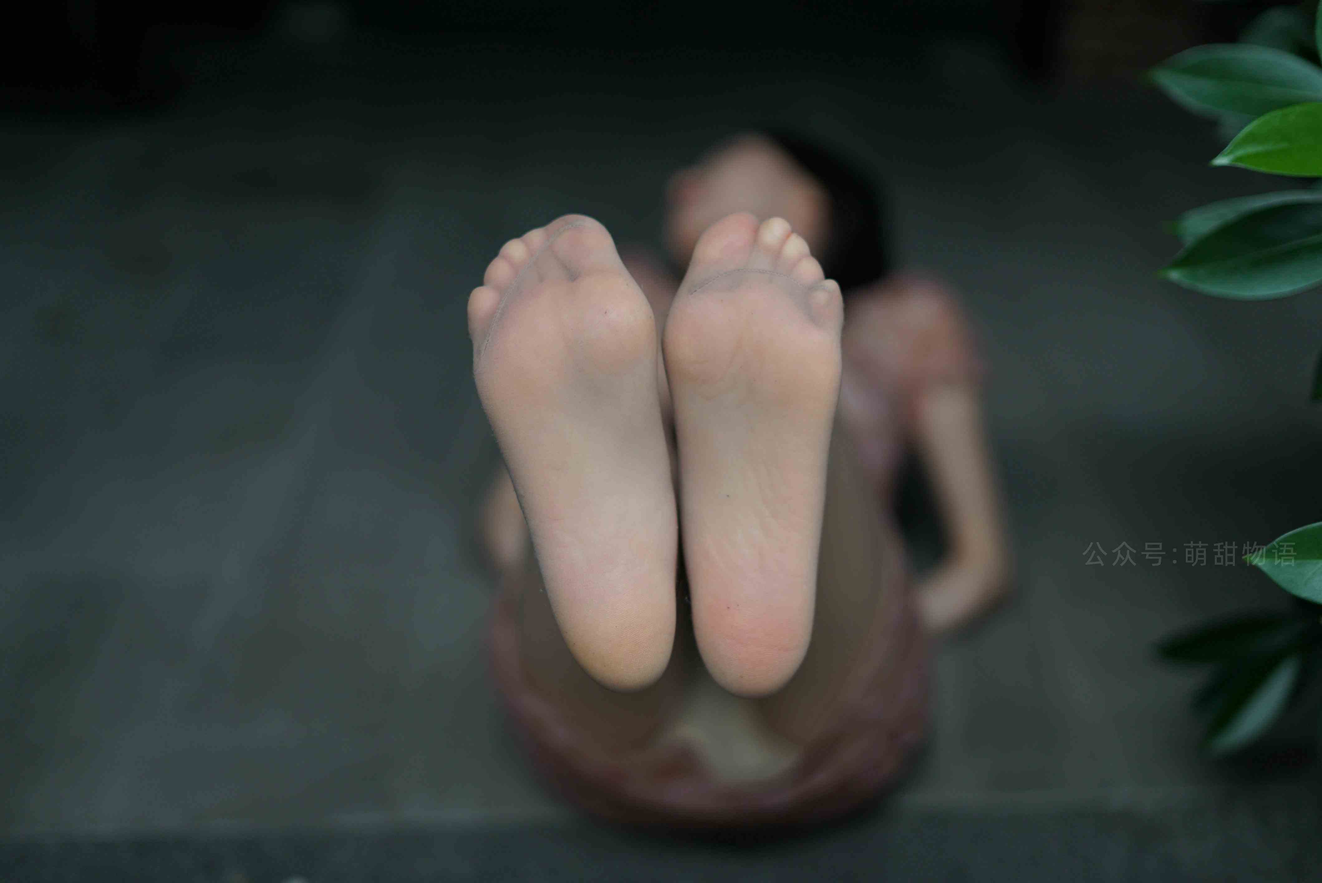 China Beauty Legs and feet 1635