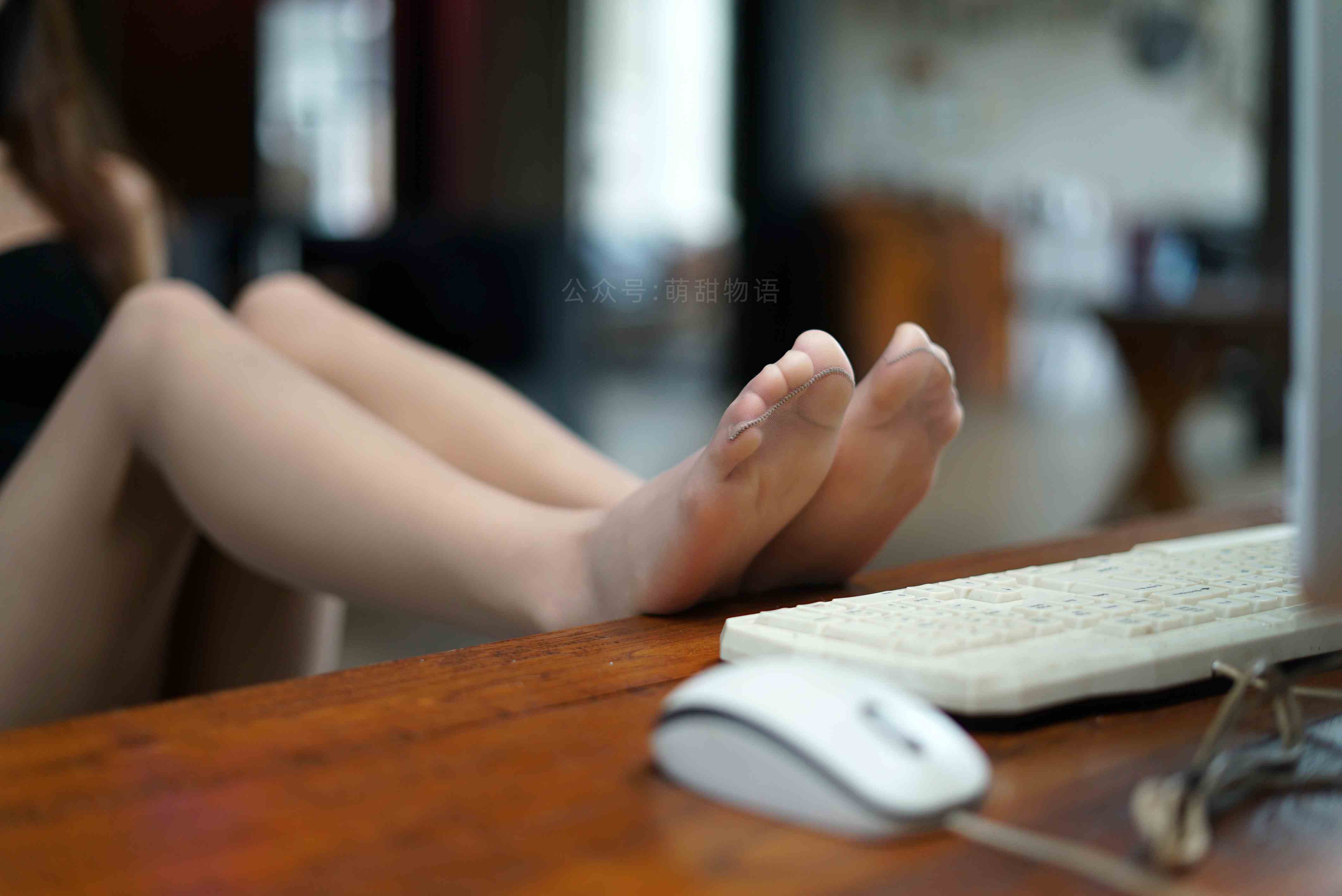 China Beauty Legs and feet 1653