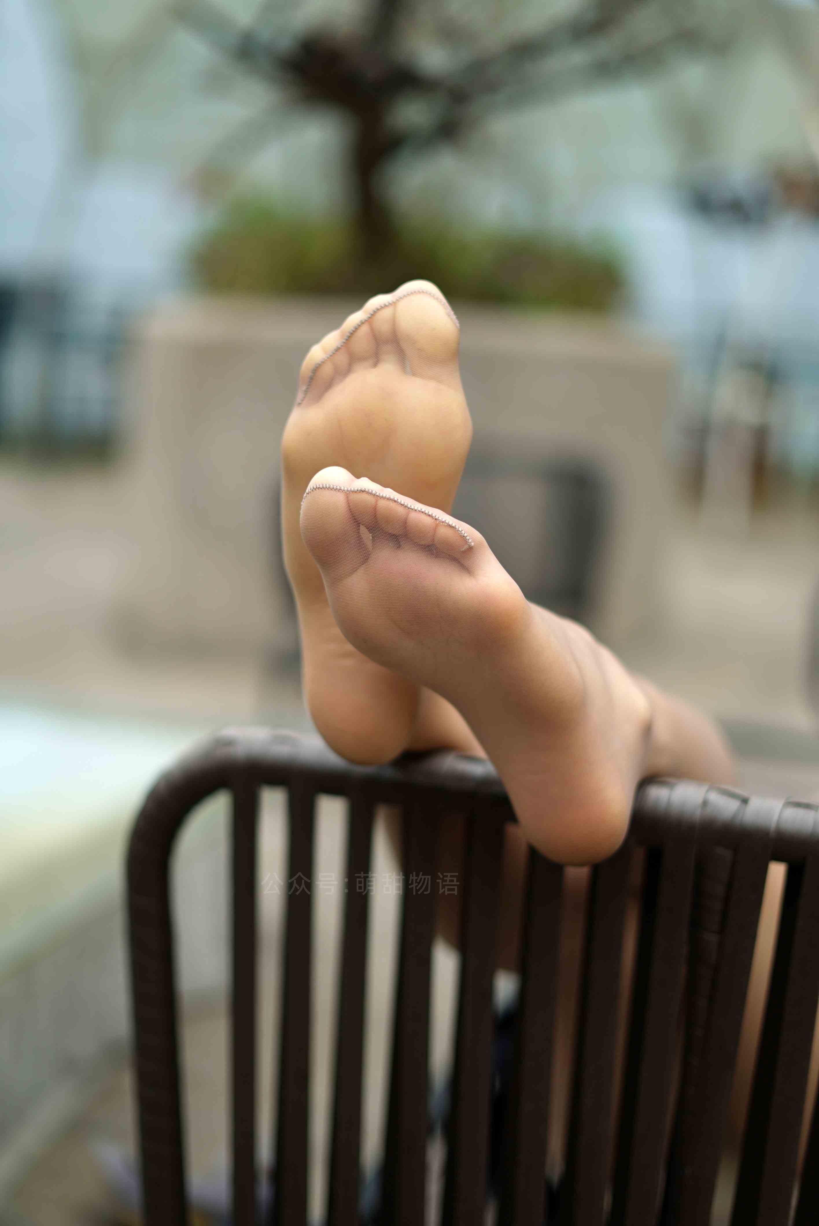 China Beauty Legs and feet 1658