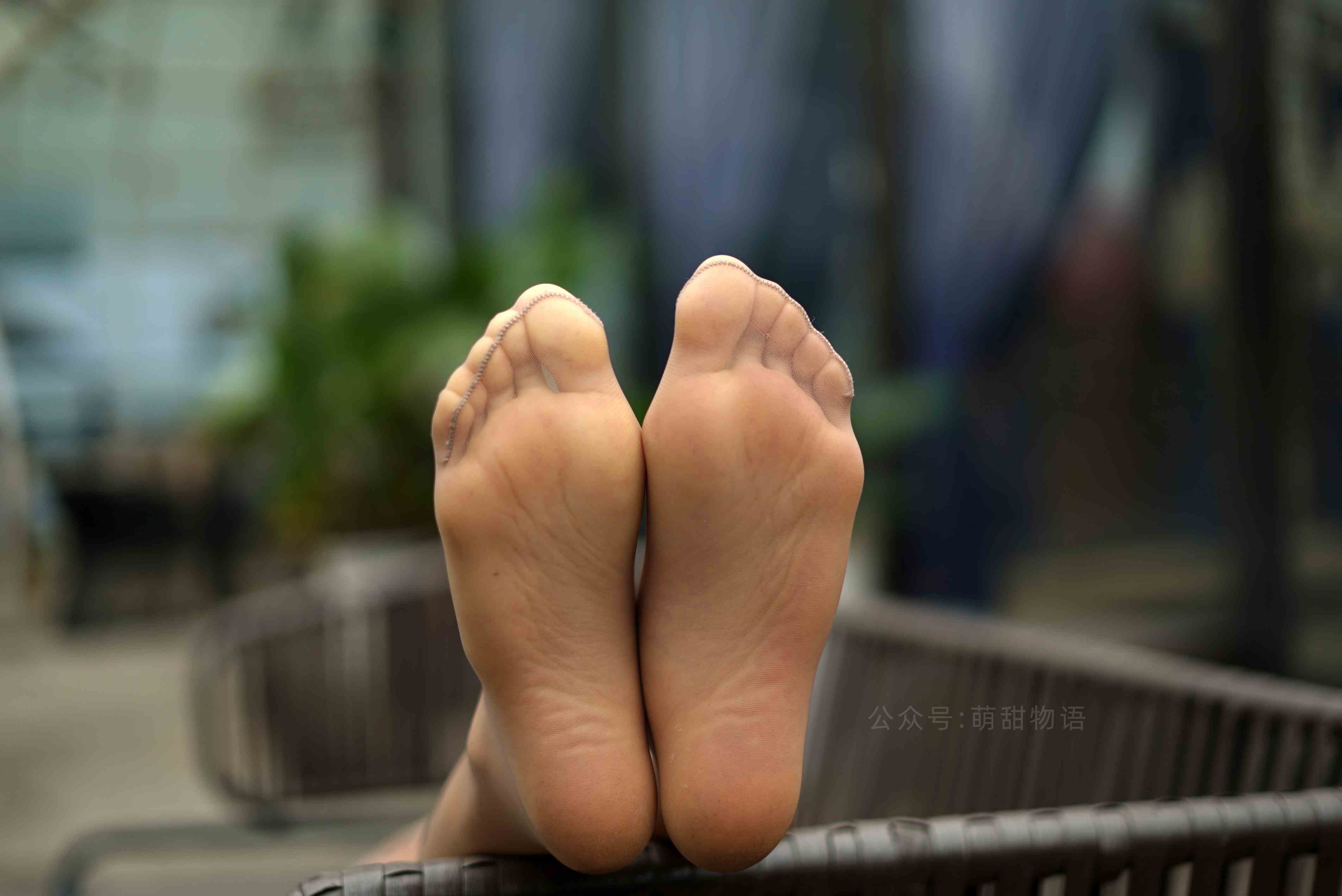 China Beauty Legs and feet 1658
