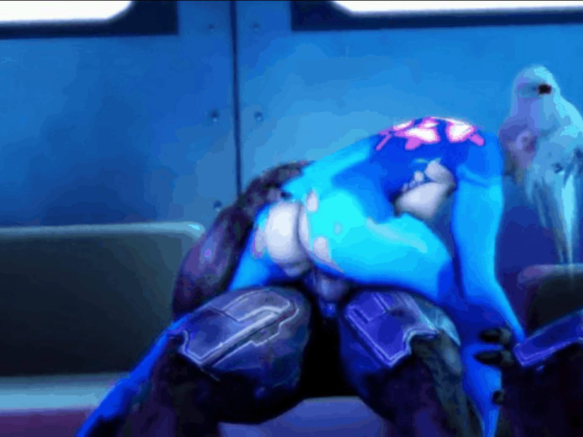 The Unknown Gif Collection 52