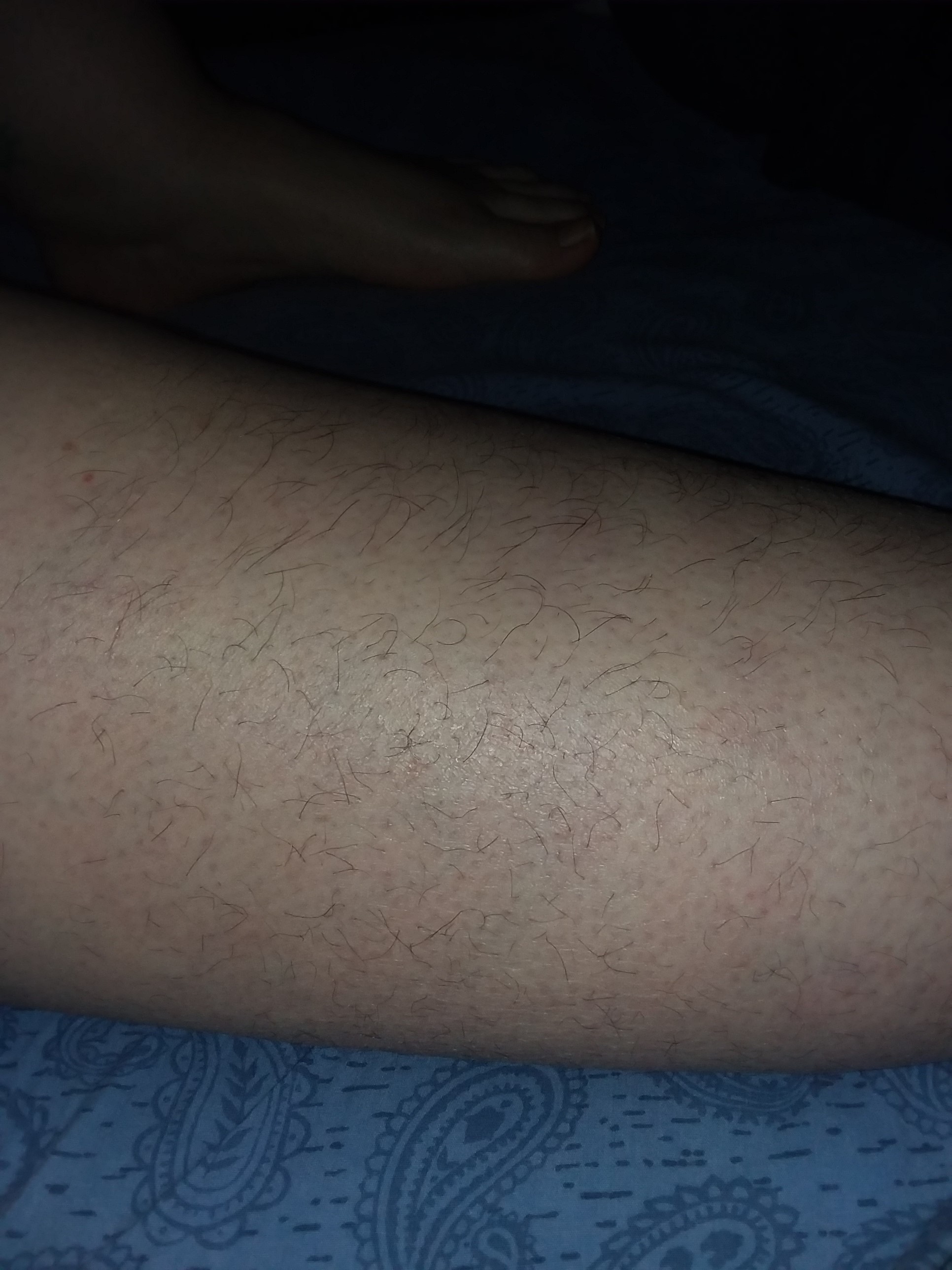 Tracey Stoute-Greene