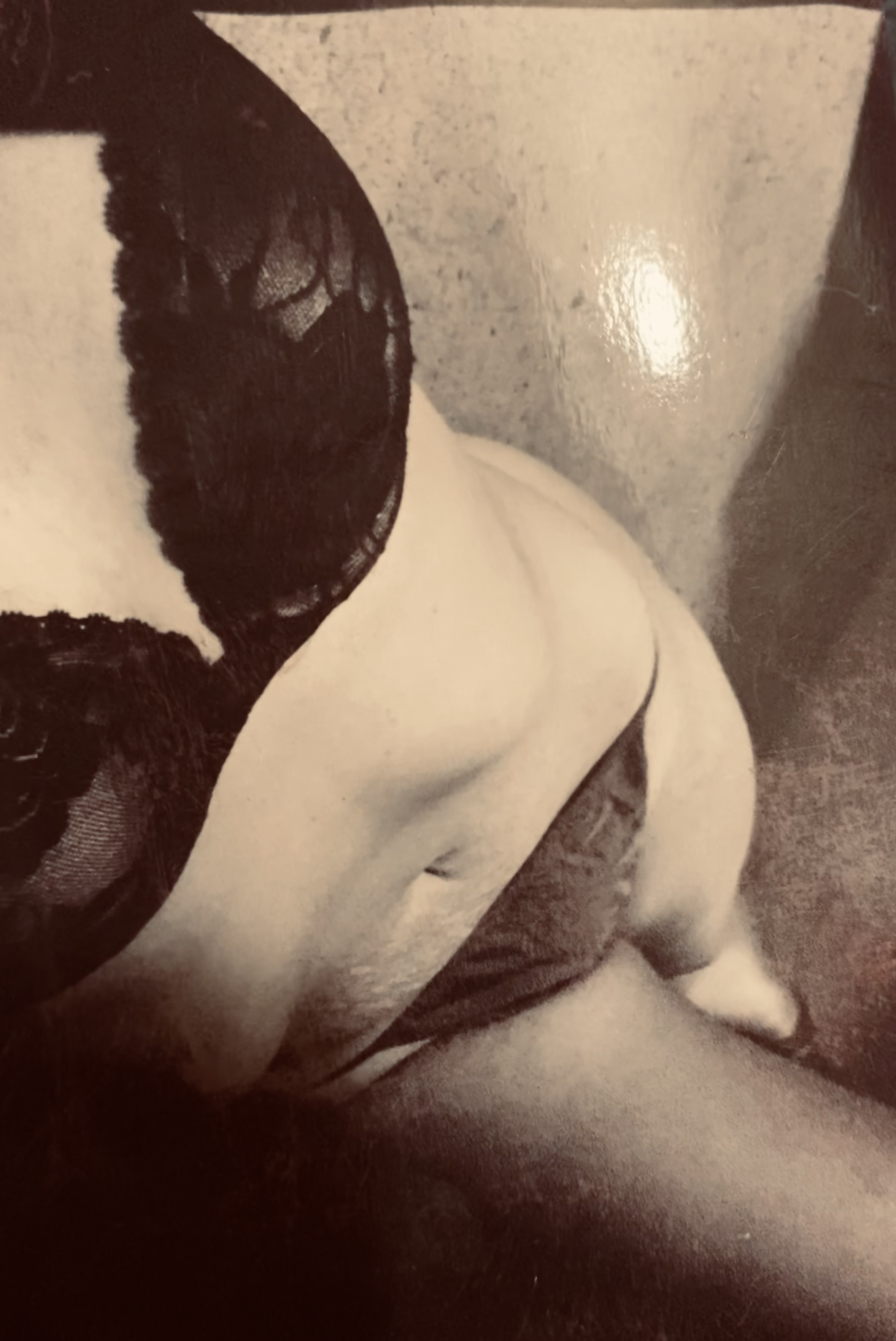 Sexy young wife posing in panties