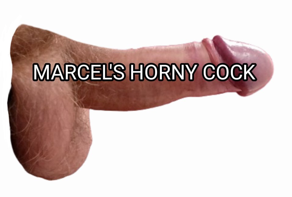 Marcel's horny cock needs to be sucked!