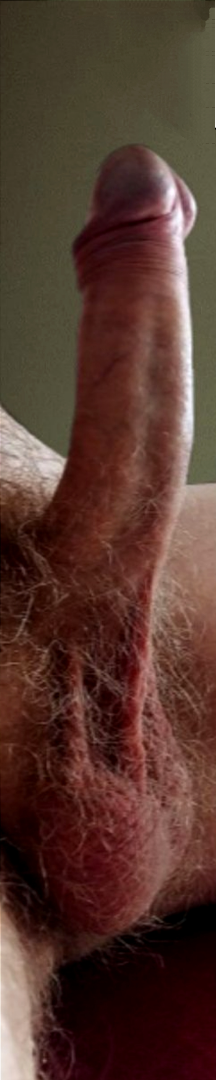 Marcel's horny cock needs to be sucked!