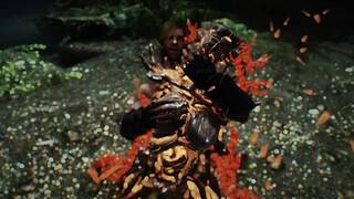 Skyrim Female Monster Spriggan Matron Porn