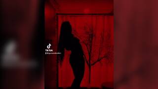 Silhouette Challenge