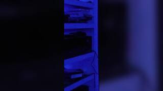 Funtime with Toy Chica