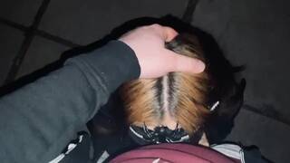 Went for a little Walk with Babe. Ended with Blowjob