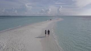 Community_2021/06/23 11:10