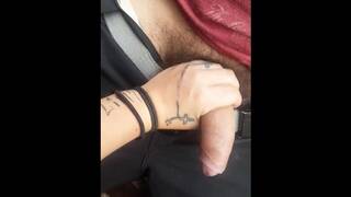 Dick Stroking in Park