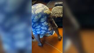 Sex bomb in a dress and sexy pantyhose.