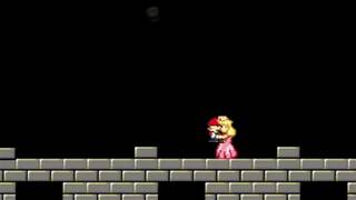 Mario & Princess Sex Tape
