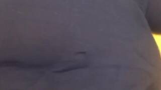 Redbone taking wood at work