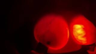 Glow In The Dark Boobs. Boob Nightlights. PBelle27