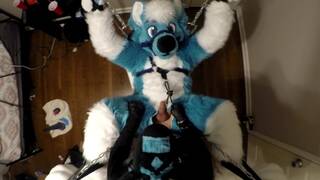 Subby Husky Murrsuiter Gets Pegged