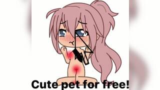 you get a cute new pet