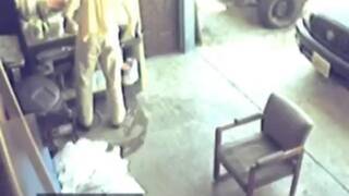 Security Cam Chronicles 3 - Scene 1!